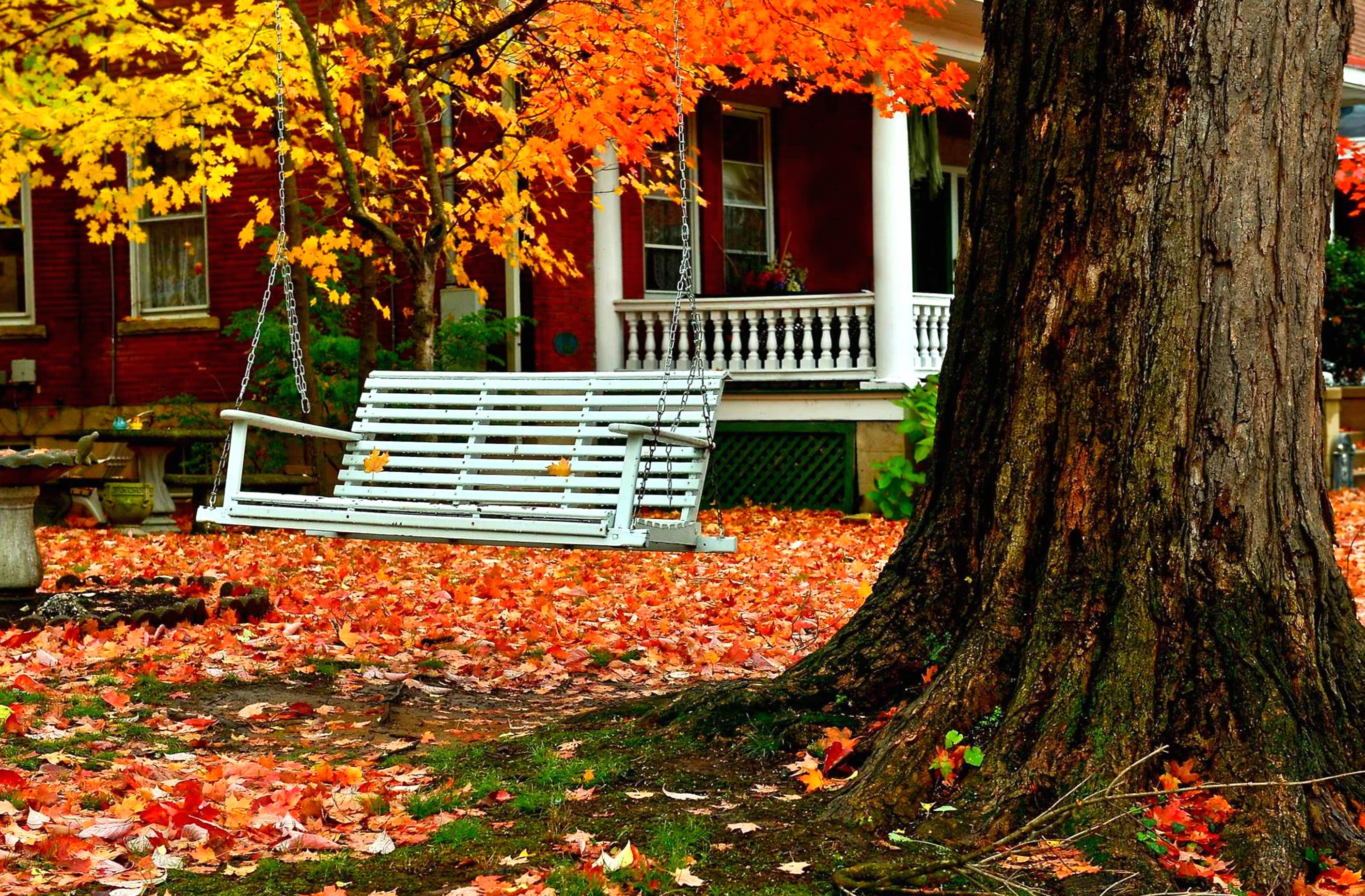 Leaf Fall House Photography Swing wallpapers HD quality