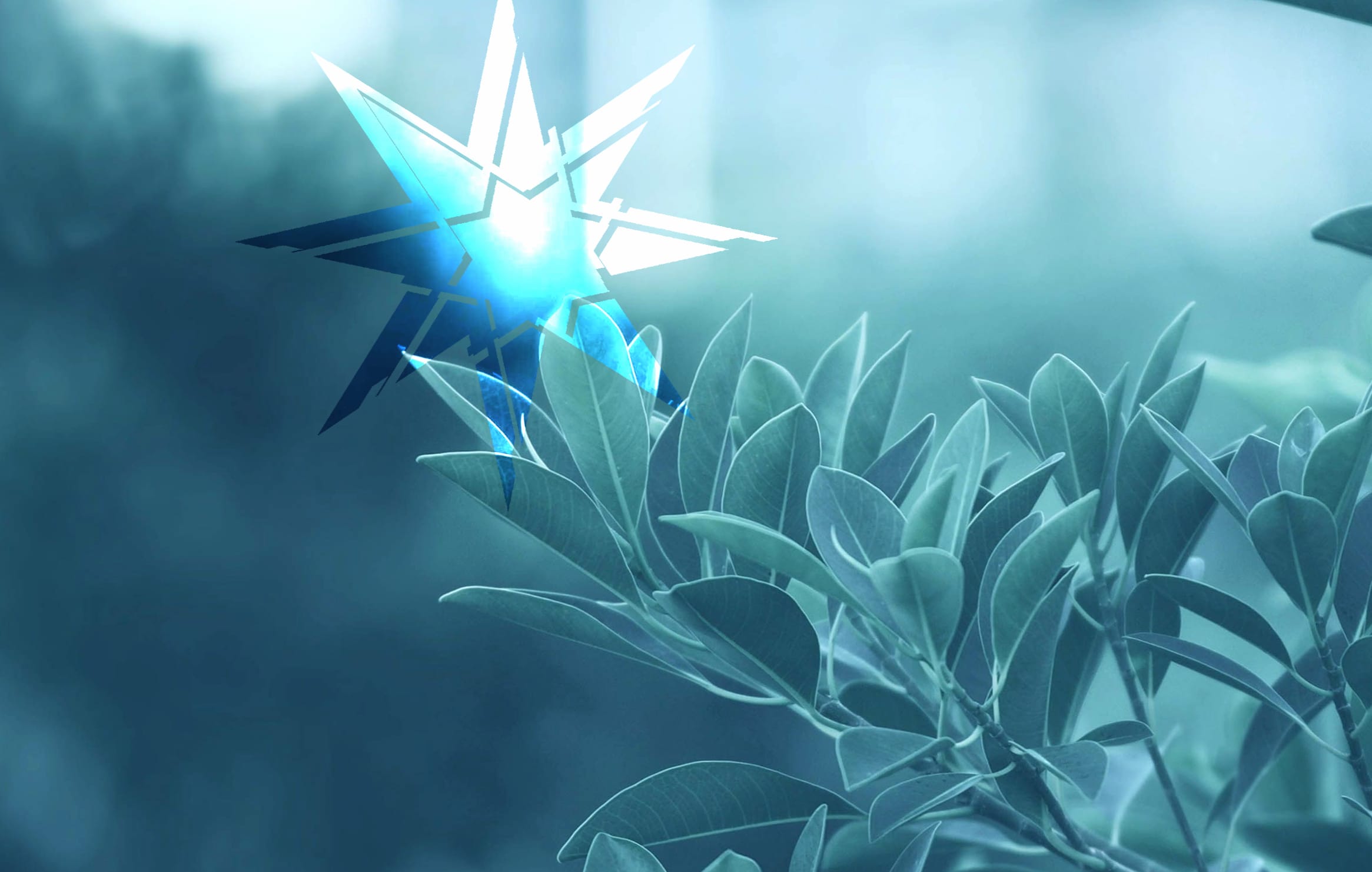 Leaf Star Artistic Polyscape wallpapers HD quality