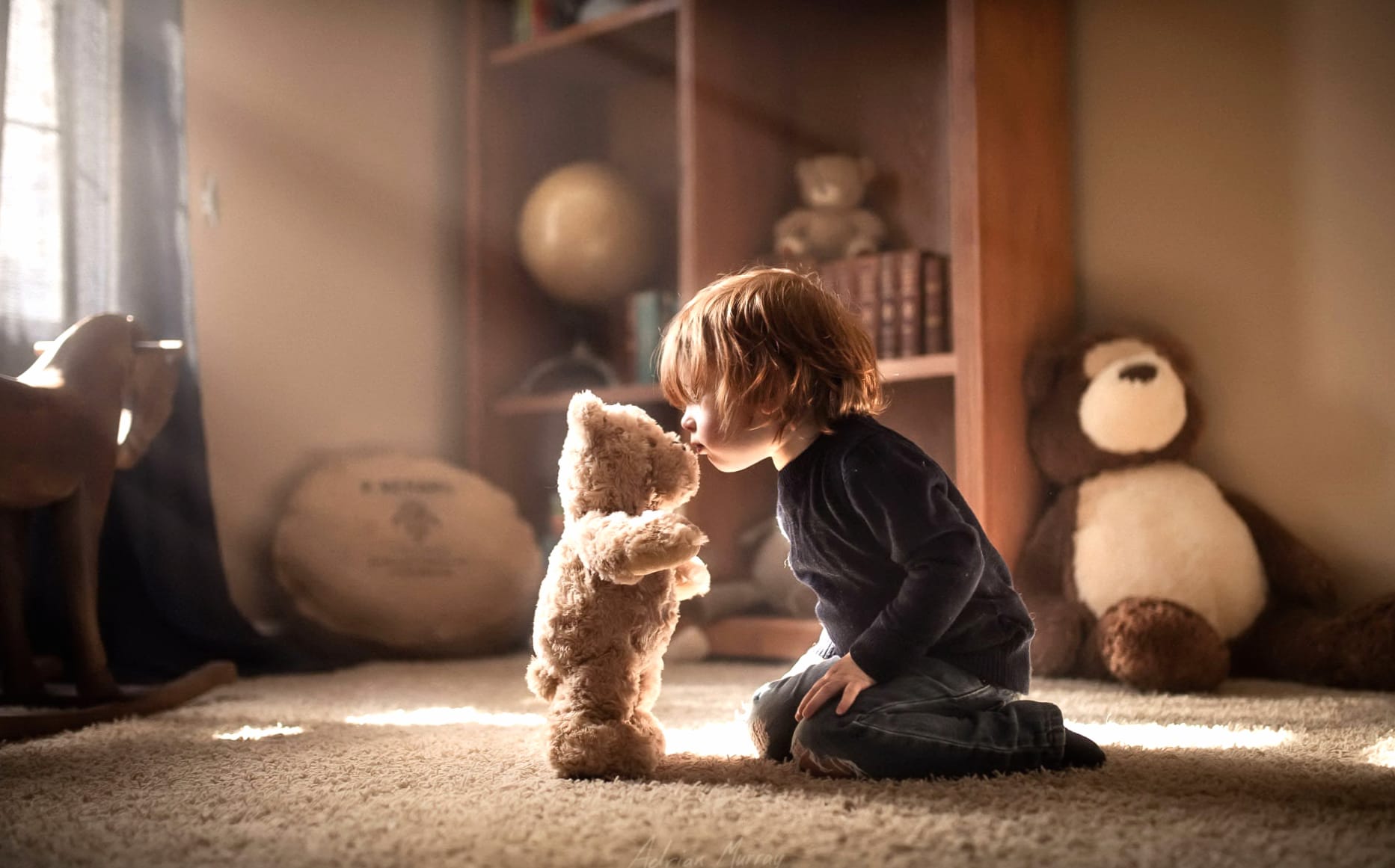 Little Boy Sunbeam Stuffed Animal Teddy Bear Photography Child wallpapers HD quality