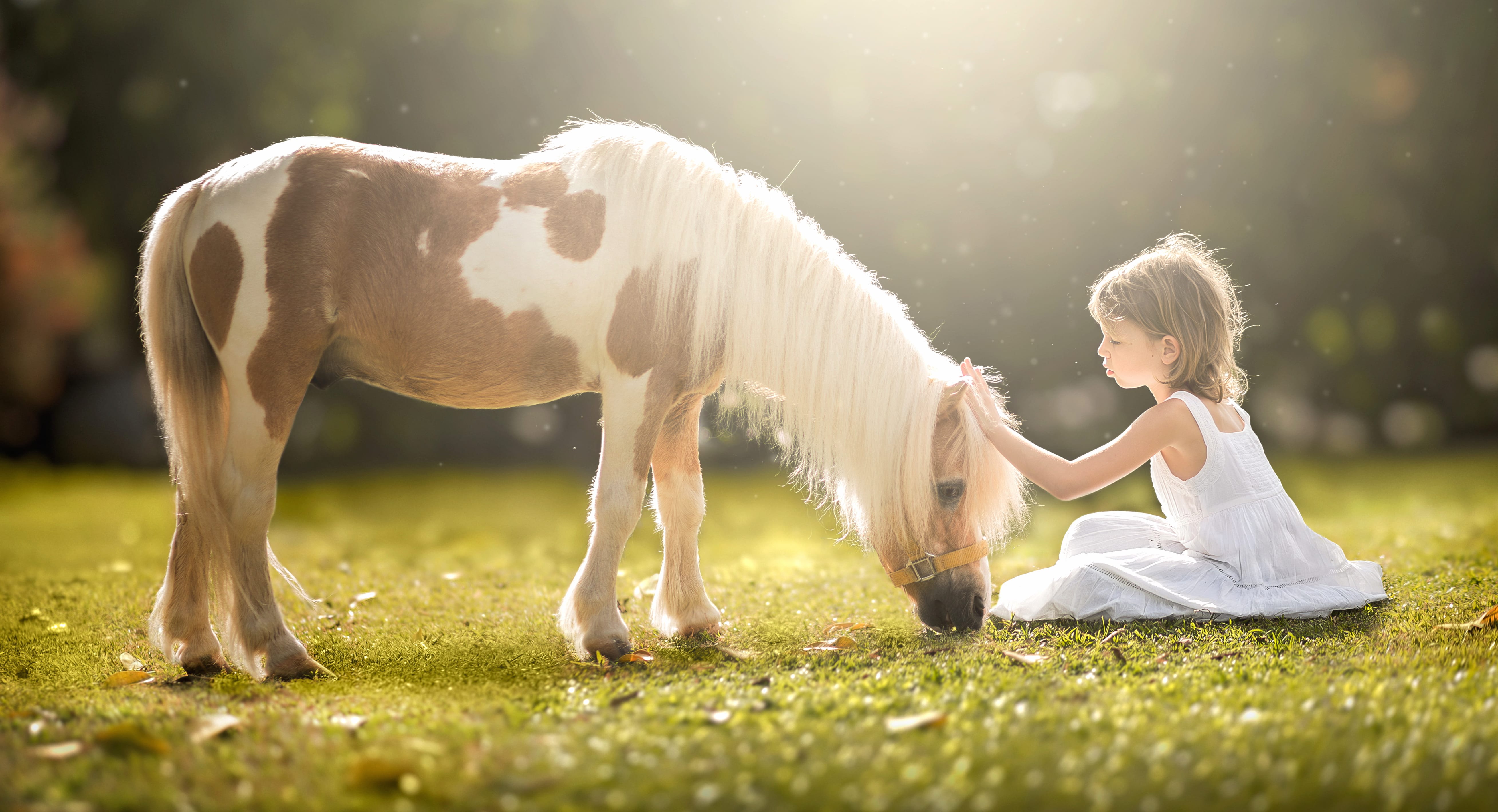 Little Girl Blonde White Dress Sunny Grass Pony Photography Child at 1600 x 1200 size wallpapers HD quality