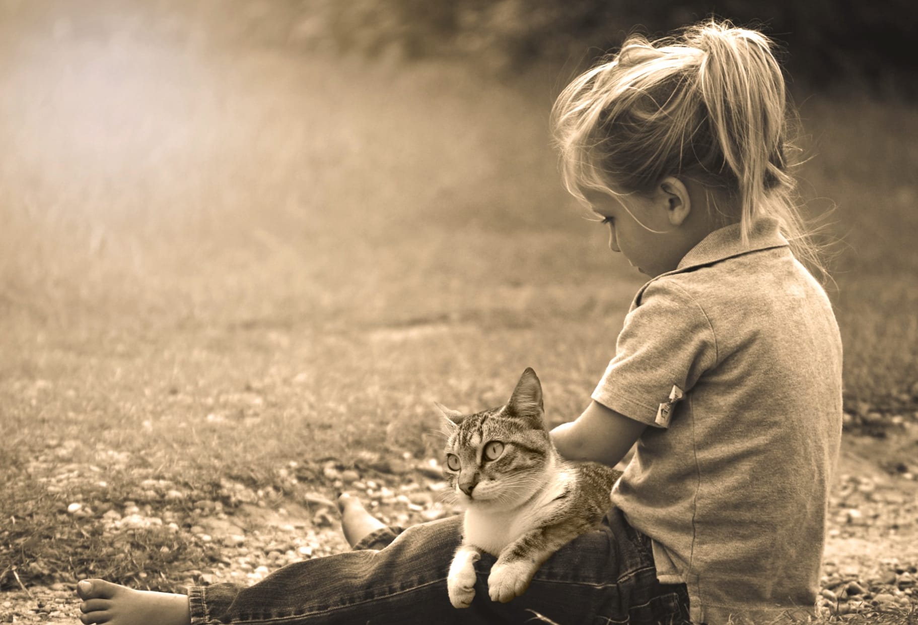 Little Girl Sepia Cat Photography Child at 750 x 1334 iPhone 6 size wallpapers HD quality