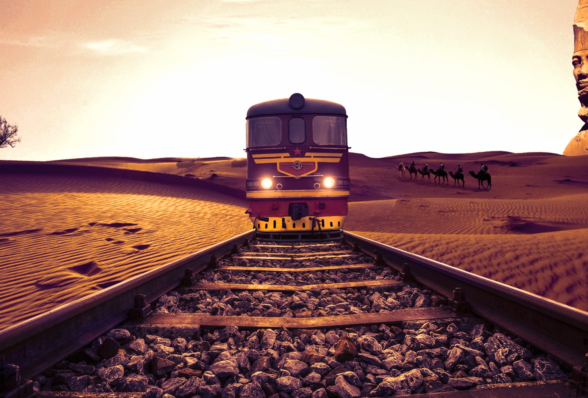 Locomotive Camel Desert Railroad Train Photography Manipulation wallpapers HD quality