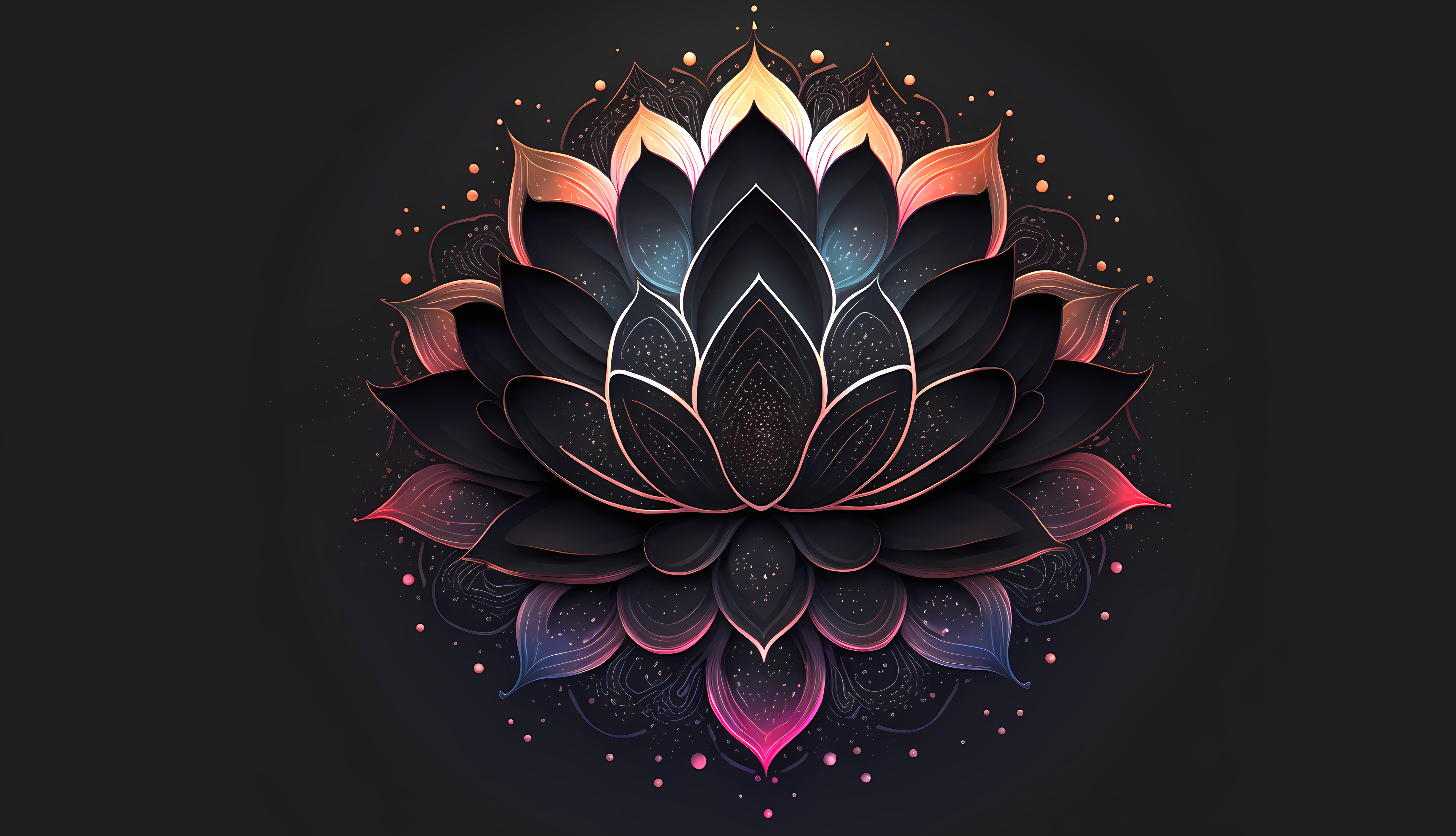 Lotus Flowers Artistic Minimalist 8k Ultra at 1600 x 900 HD size wallpapers HD quality