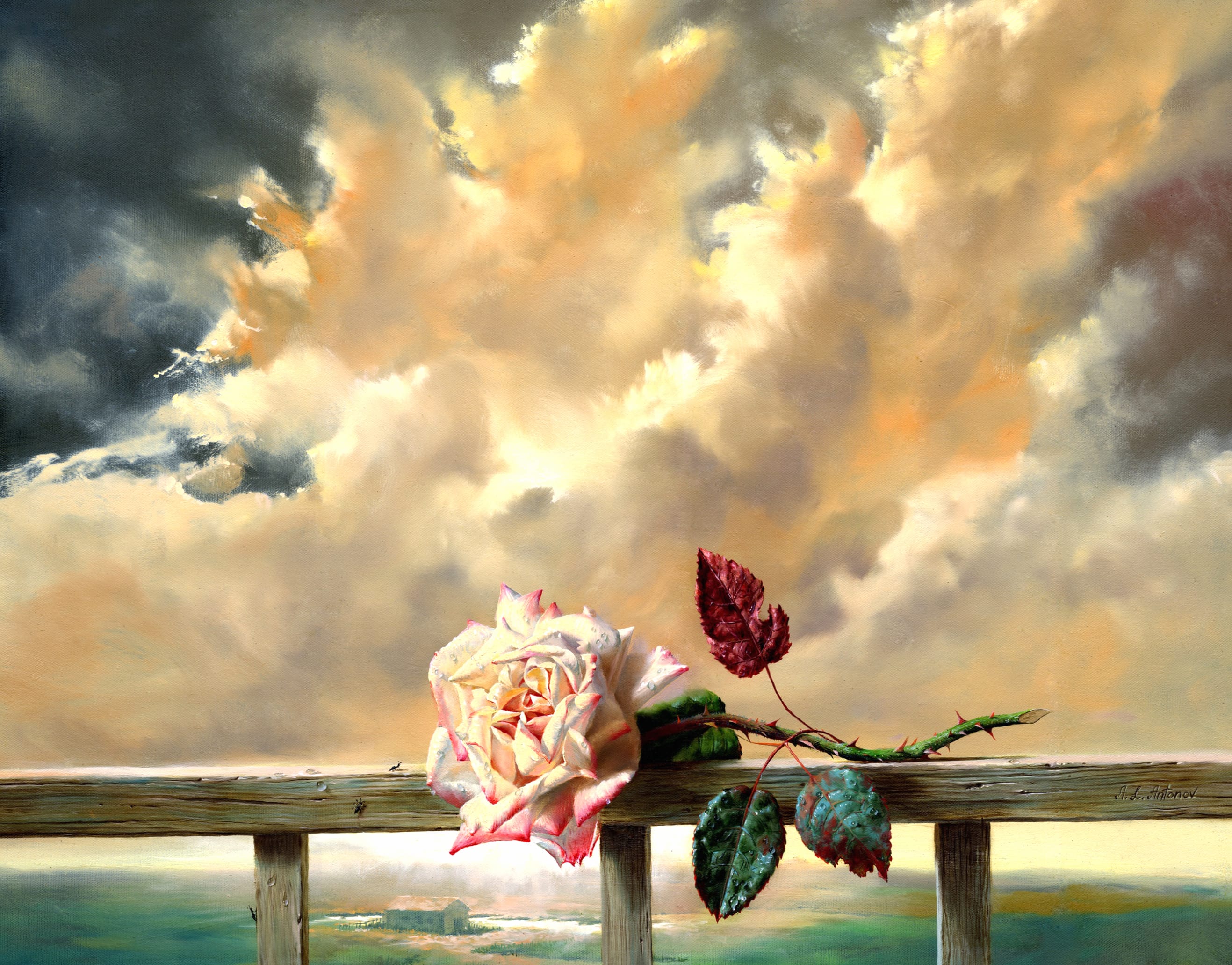 Love in the Clouds Pink Rose at 640 x 960 iPhone 4 size wallpapers HD quality