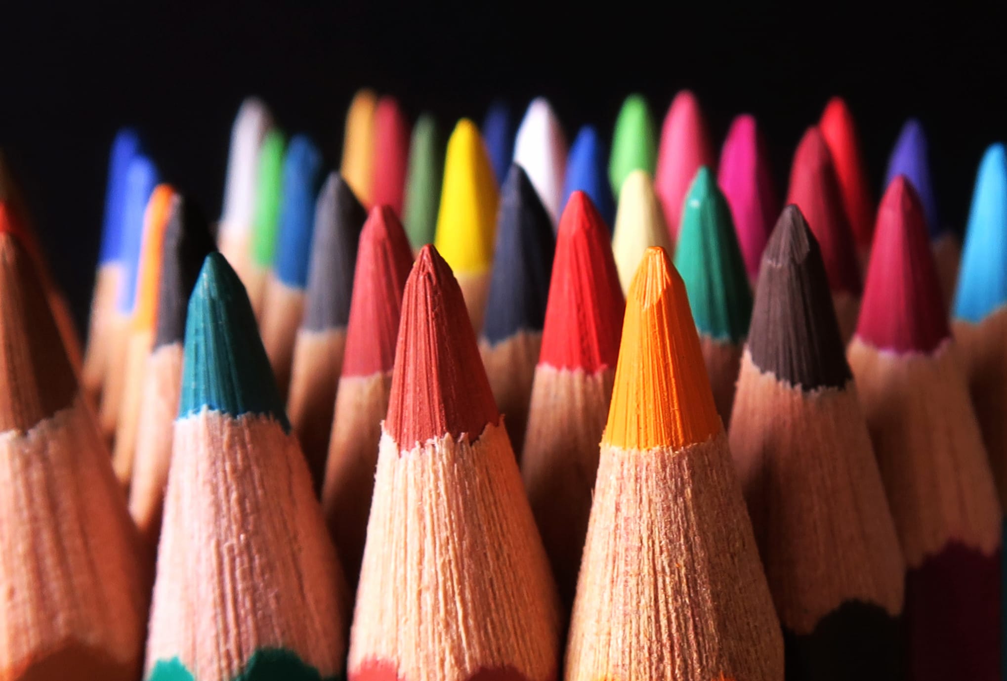 Macro Colors Photography Pencil wallpapers HD quality