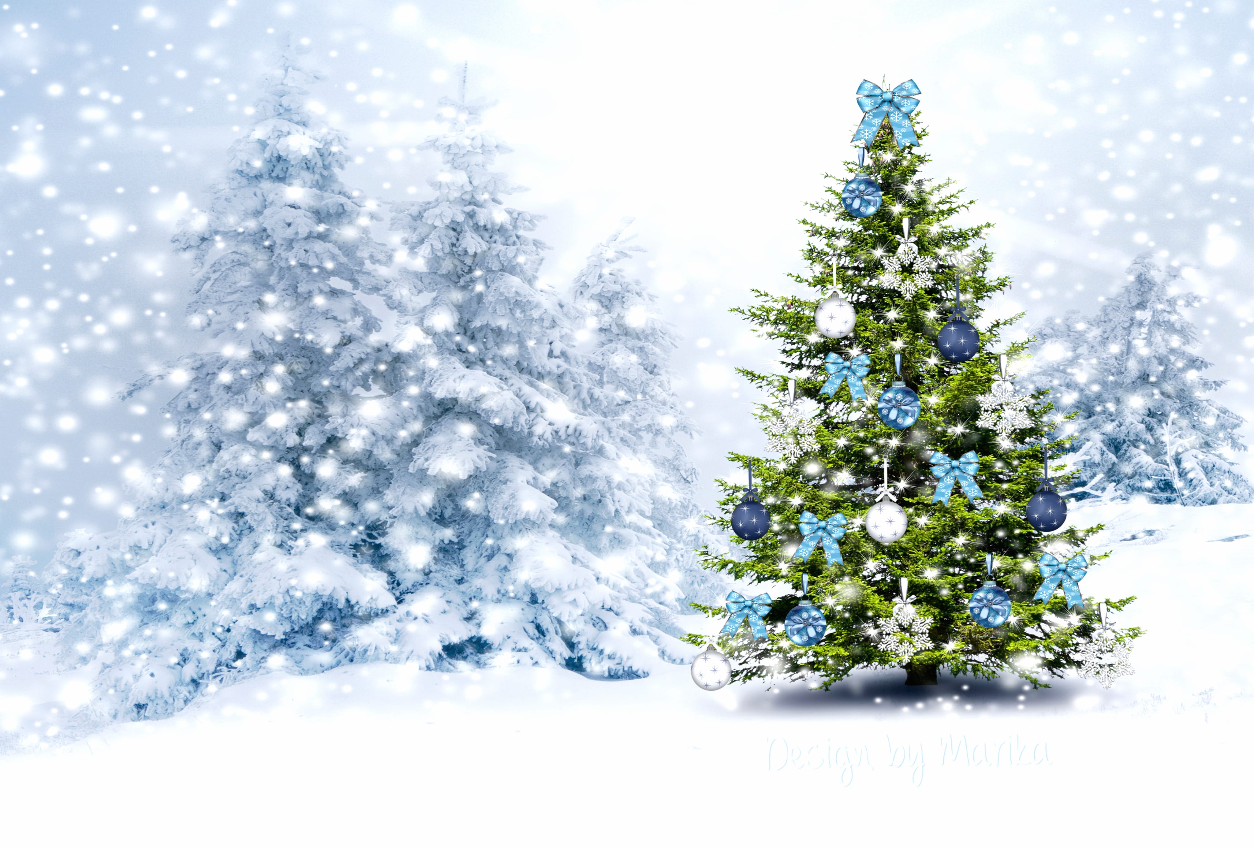 Magical Christmas Tree HD Holiday Wallpaper wallpapers HD quality