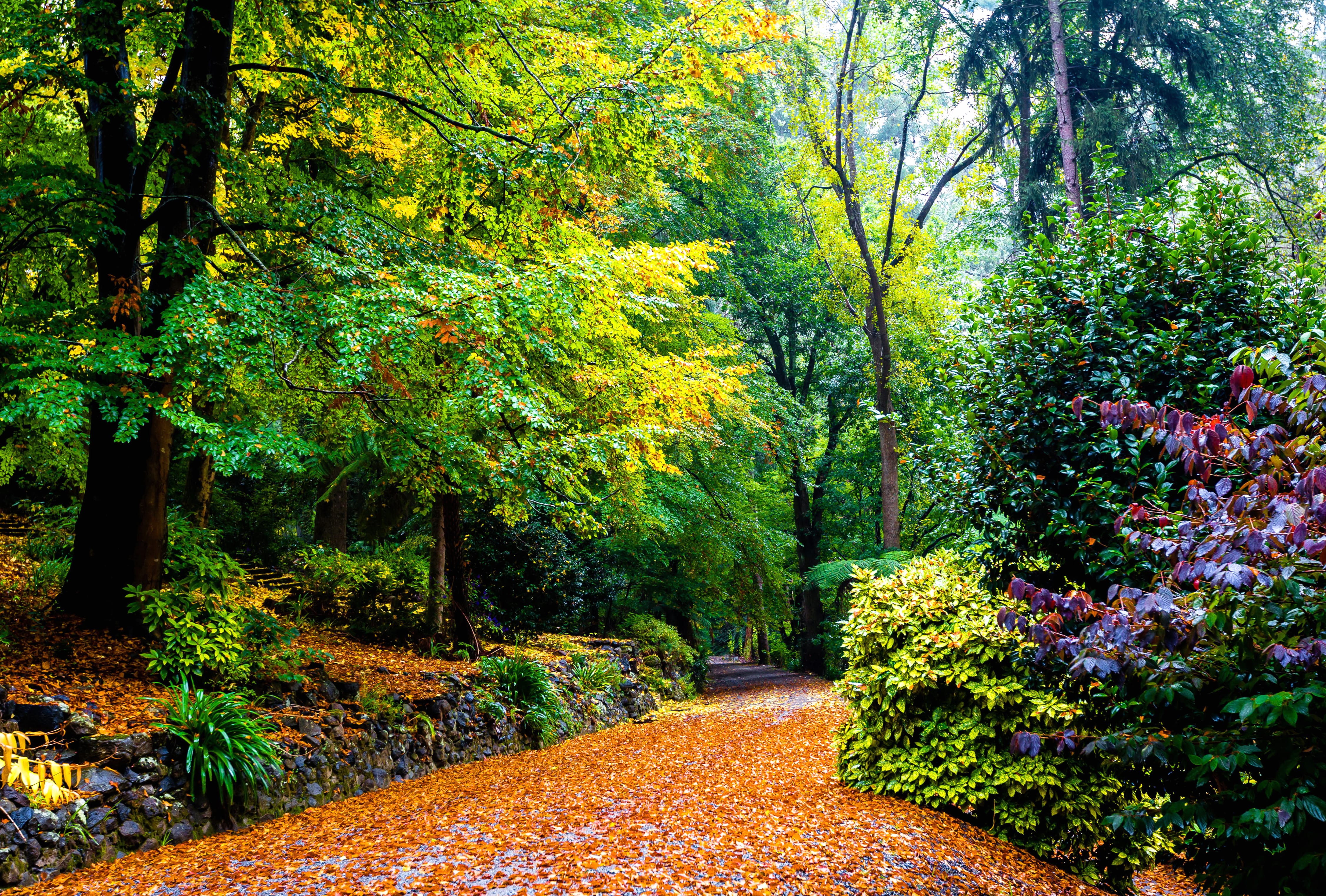 Melbourne Autumn Park - at 1920 x 1080 HD size wallpapers HD quality