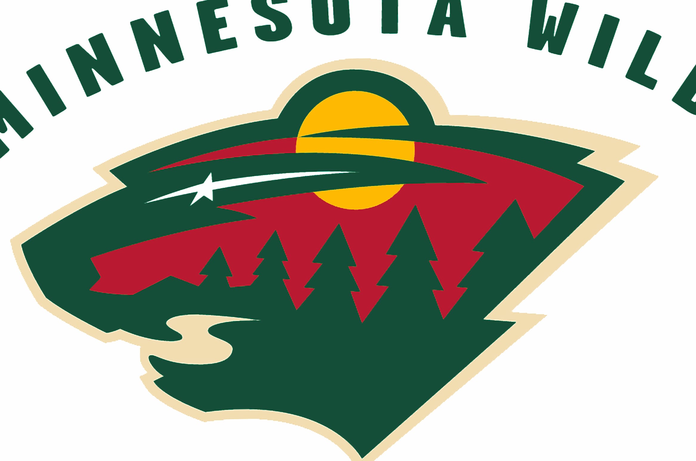 Minnesota Wild Sports wallpapers HD quality