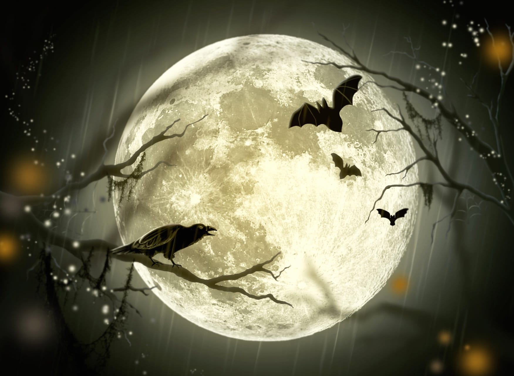 Moon Bat Bird Crow Holiday Halloween at 2560 x 1440 HD size wallpapers HD quality