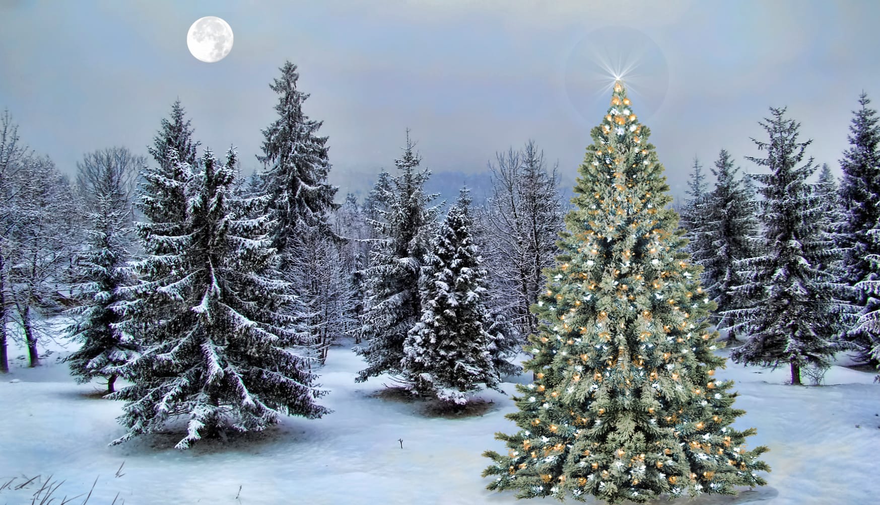 Moon Star Snow Forest Christmas Tree Holiday Christmas wallpapers HD quality