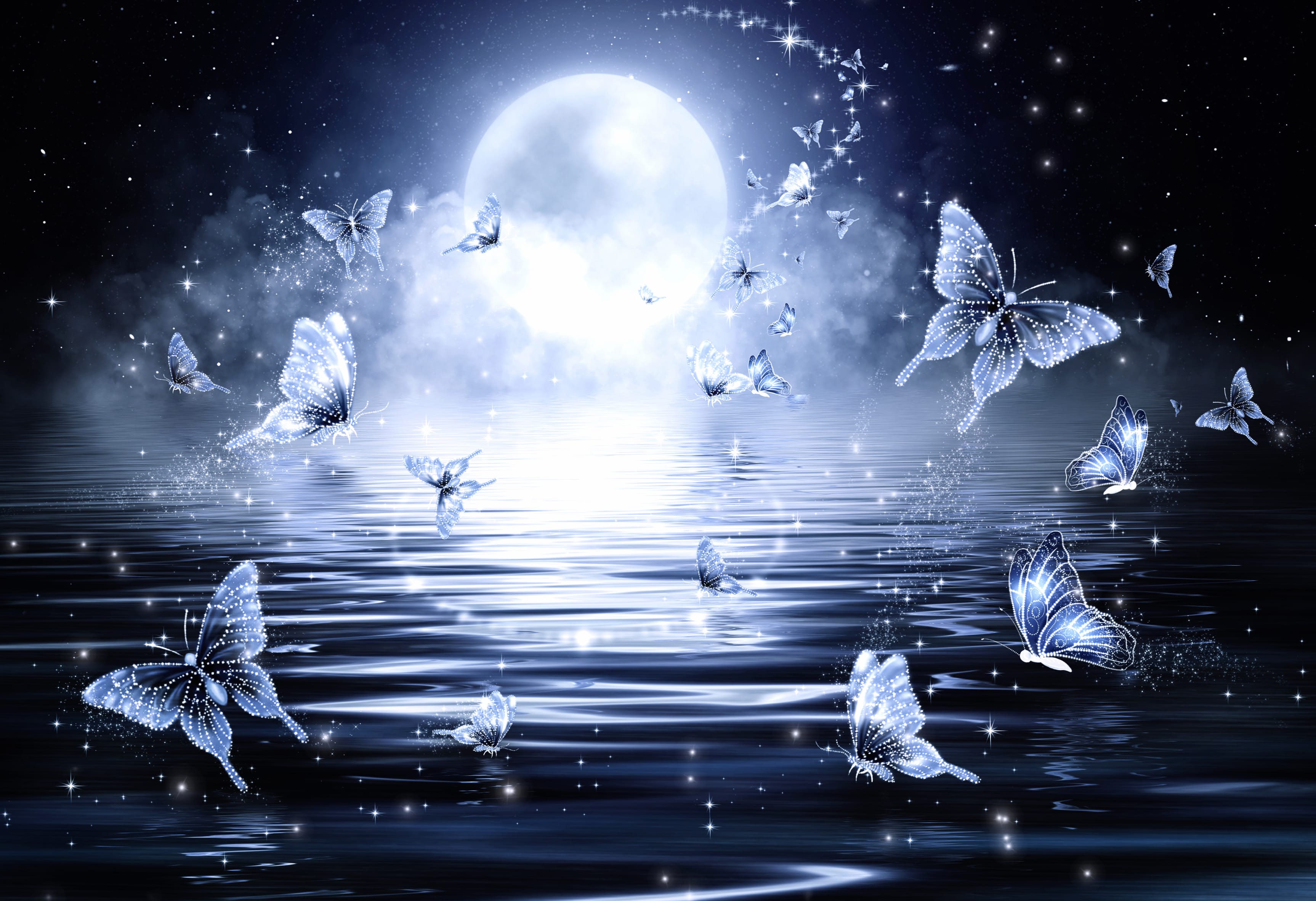 Moonlit Butterfly Dreams wallpapers HD quality