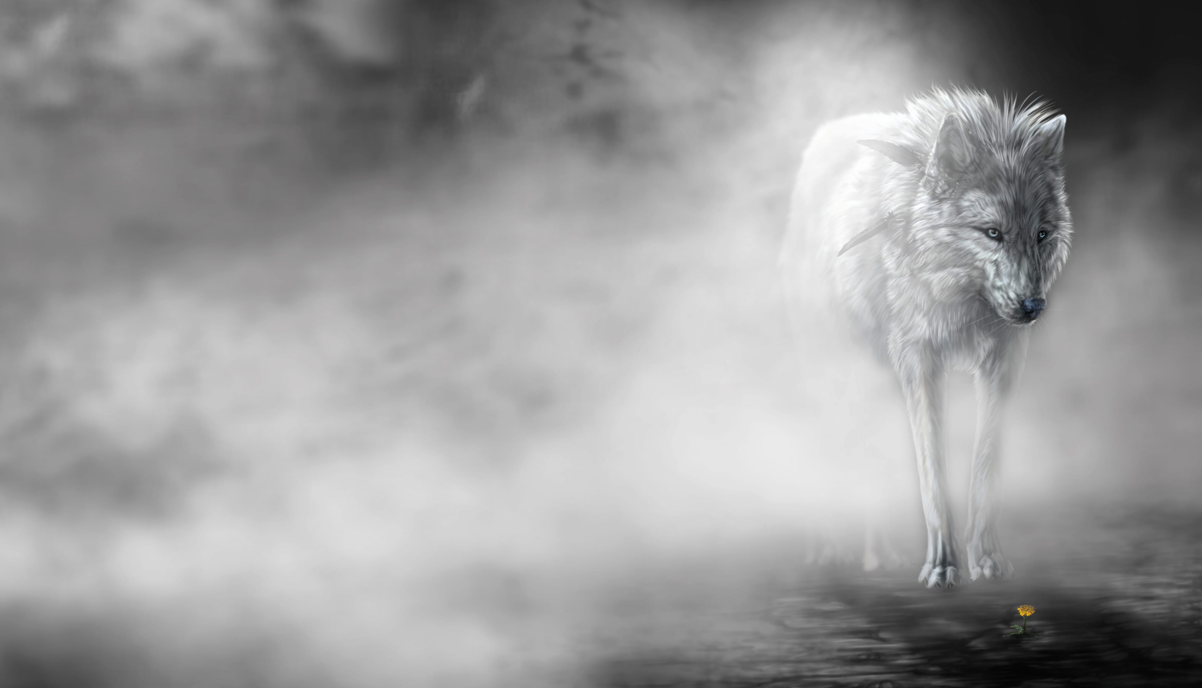 Mystic Wolf in Fog - HD Fantasy Wallpaper wallpapers HD quality