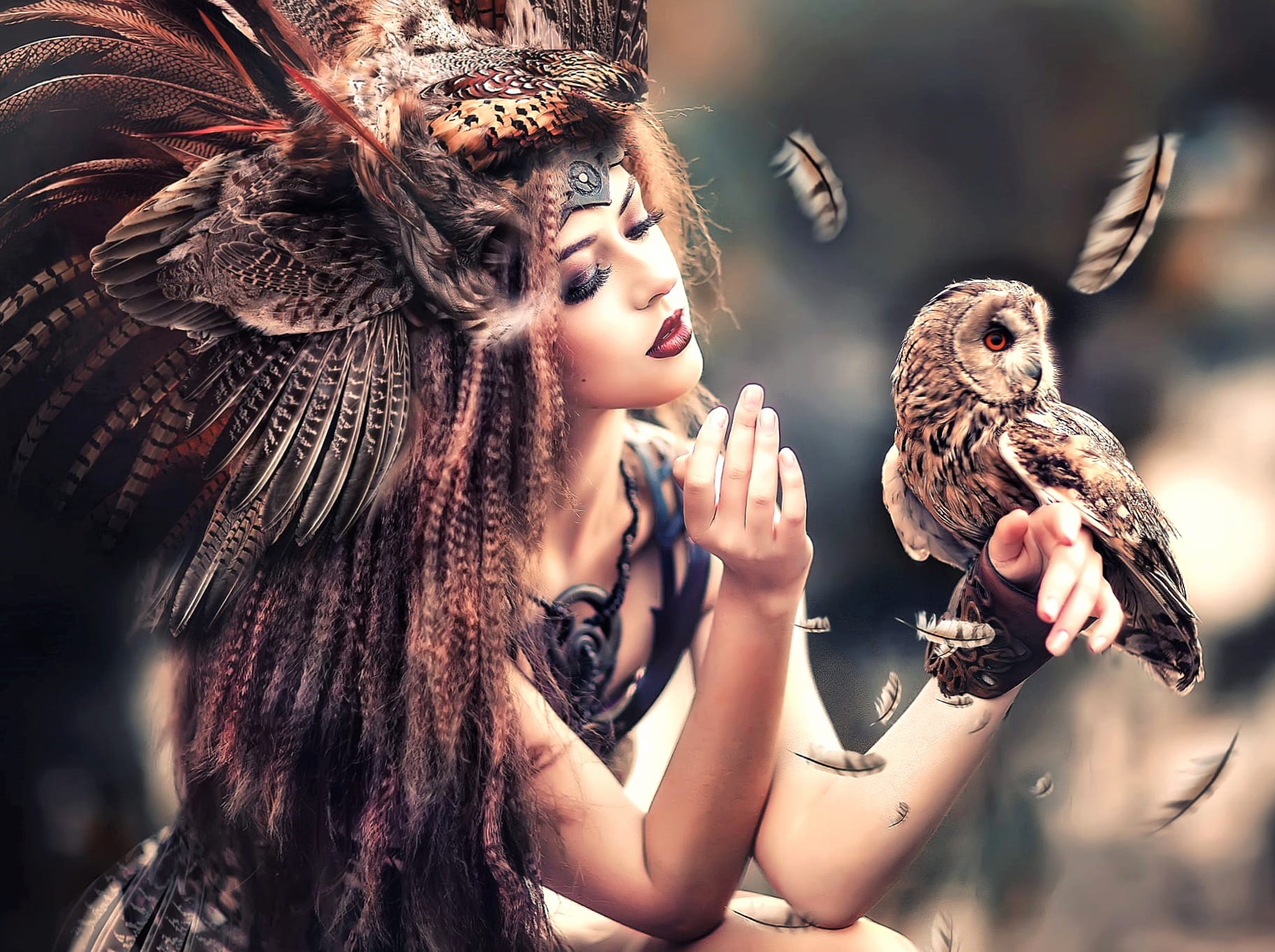 Native Elegance Feathered Beauty at 1920 x 1080 HD size wallpapers HD quality