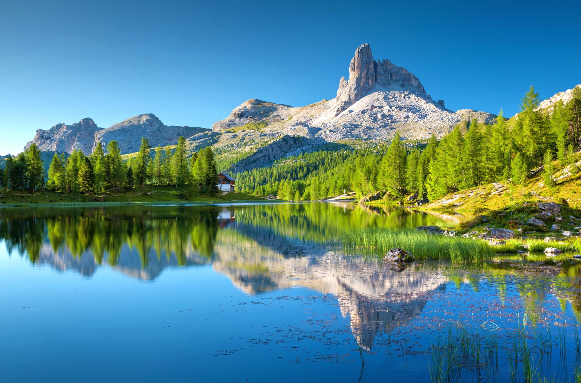 Nature Tree Italy Mountain Reflection Landscape Photography Lake wallpapers HD quality