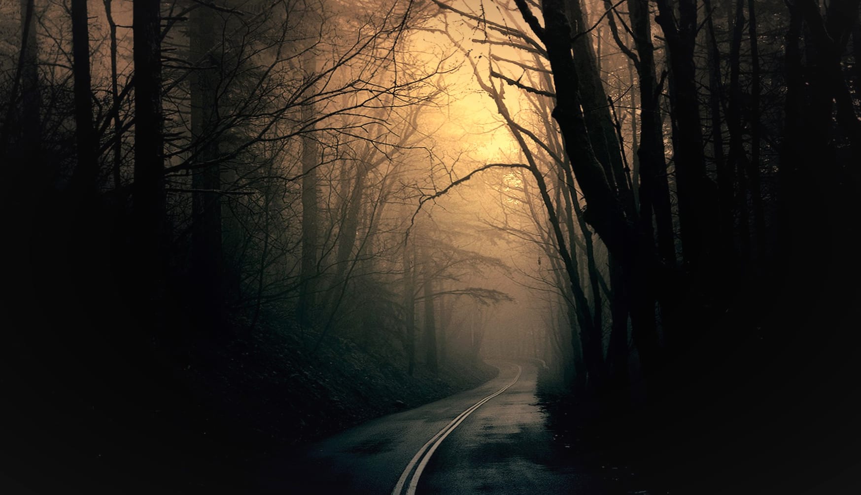 Night Road Dark Forest wallpapers HD Night Road Dark Forest wallpapers HD quality