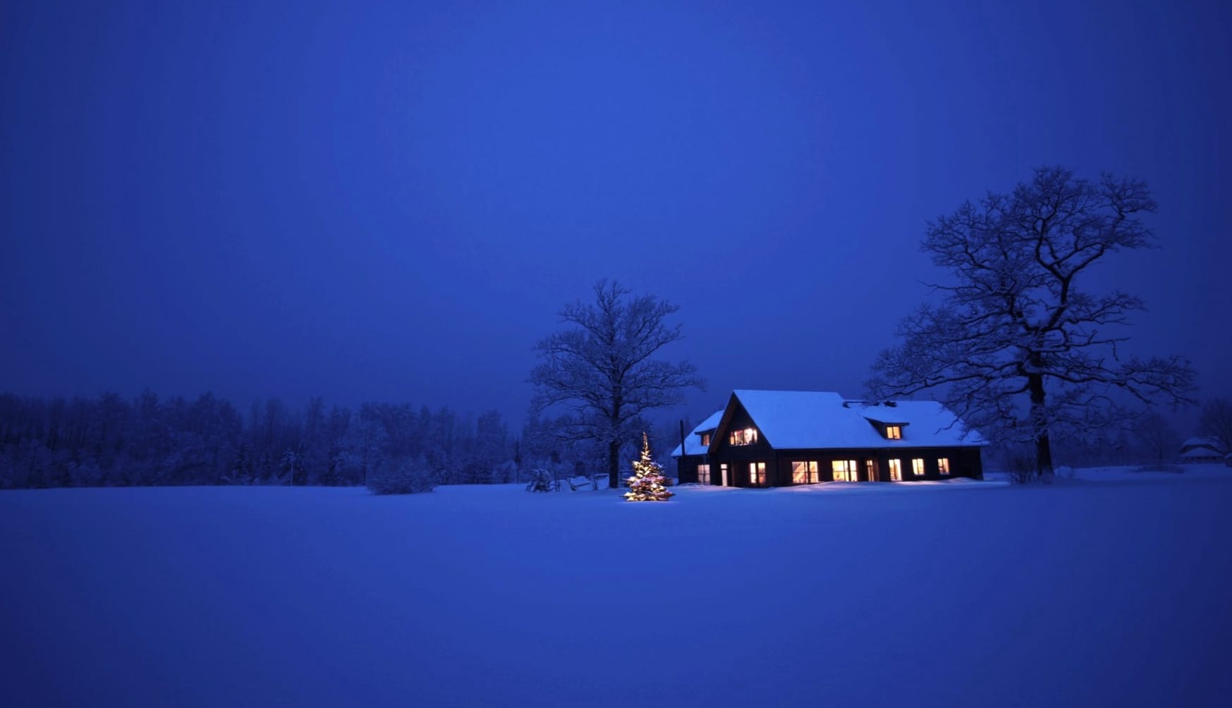 Night Snow Photography Winter wallpapers HD quality