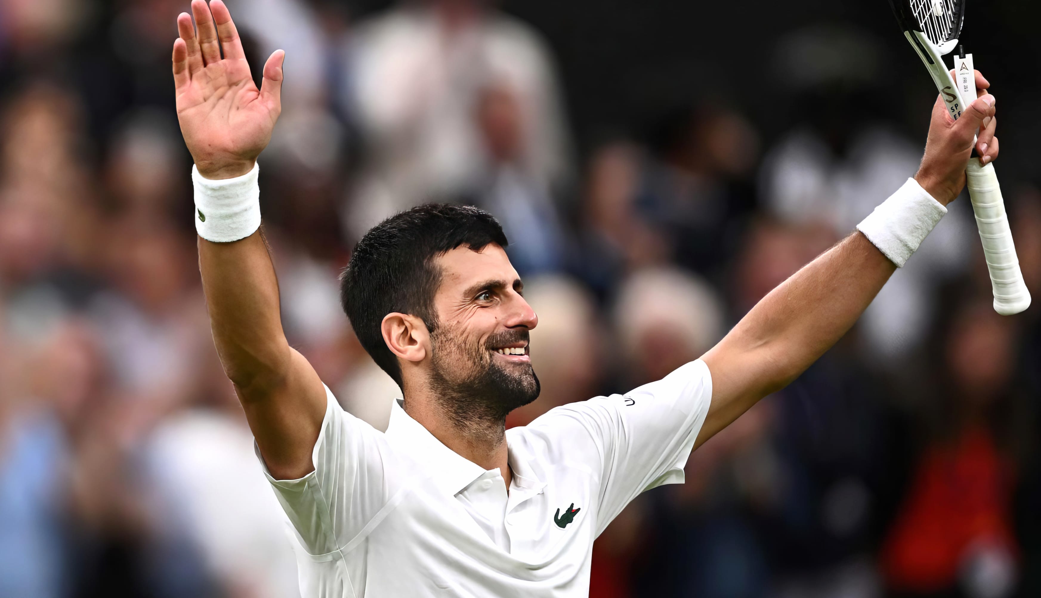 Novak Djokovic celebrates after notching his 34th consecutive Wimbledon win wallpapers HD quality