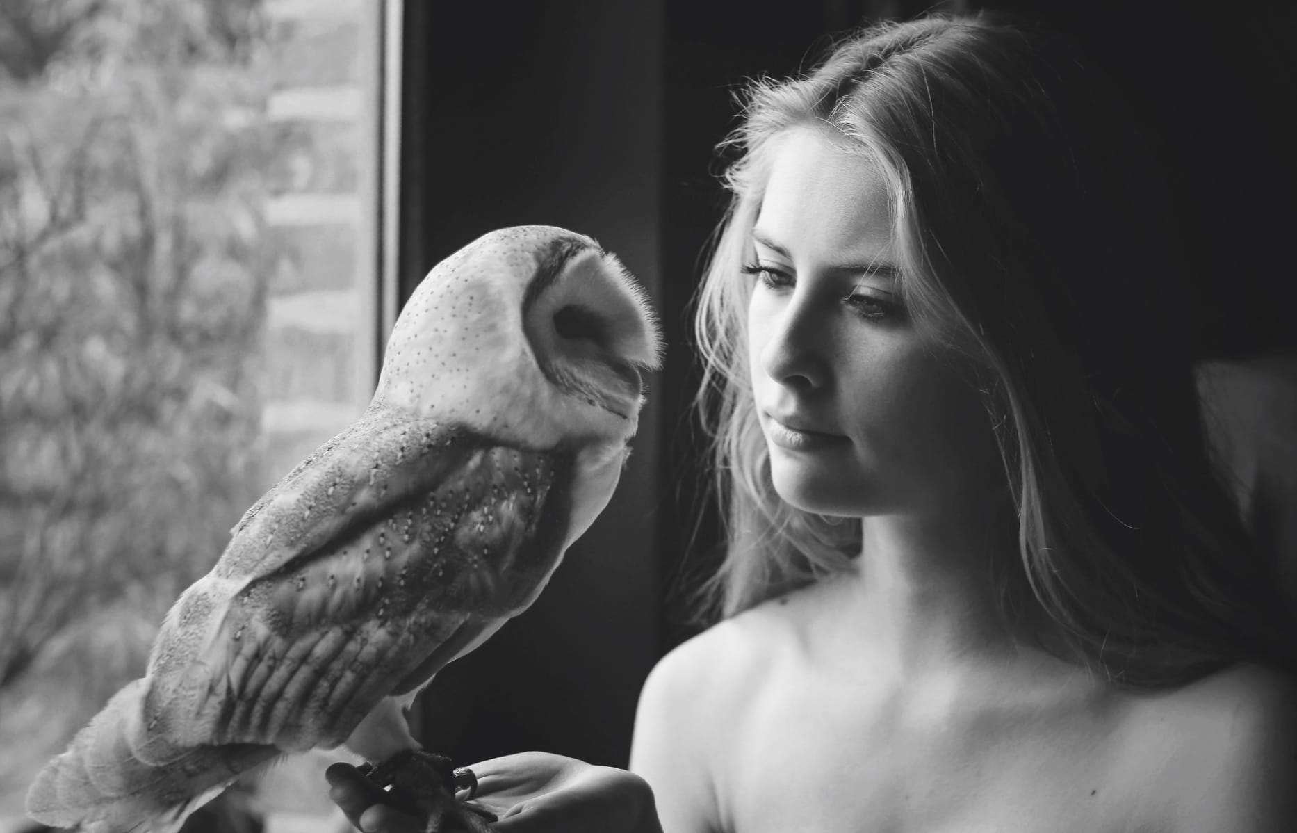 Owl & Blonde Beauty at 1920 x 1080 HD size wallpapers HD quality