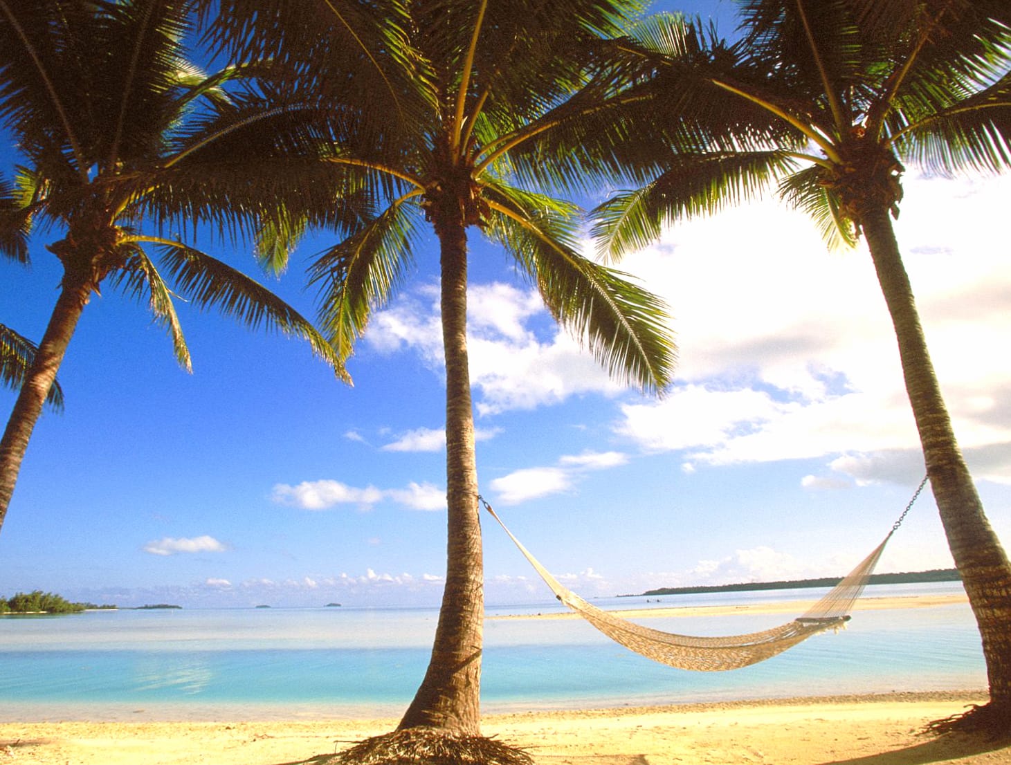 Paradise Hammock Beach at 640 x 1136 iPhone 5 size wallpapers HD quality