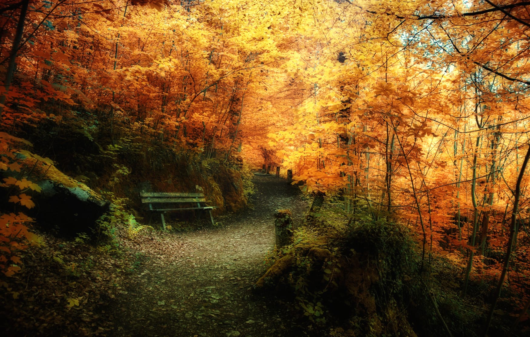 Path Bench Photography Fall wallpapers HD quality