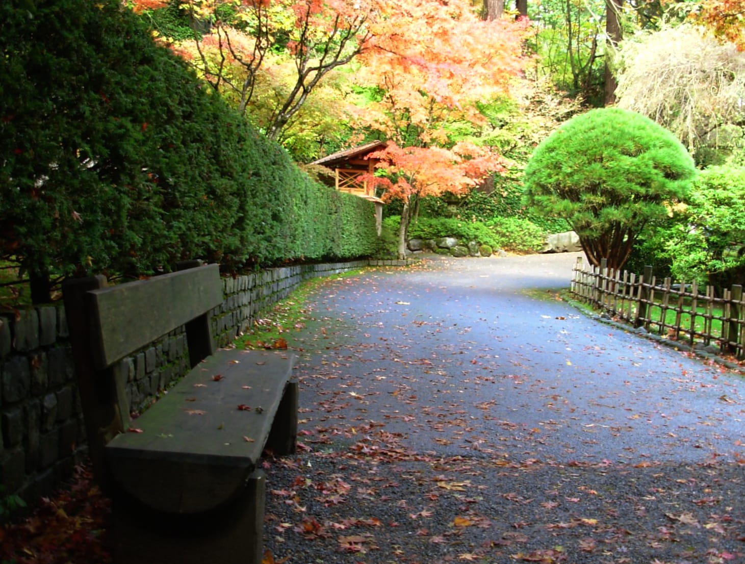 Peaceful Park Path at 1600 x 1200 size wallpapers HD quality