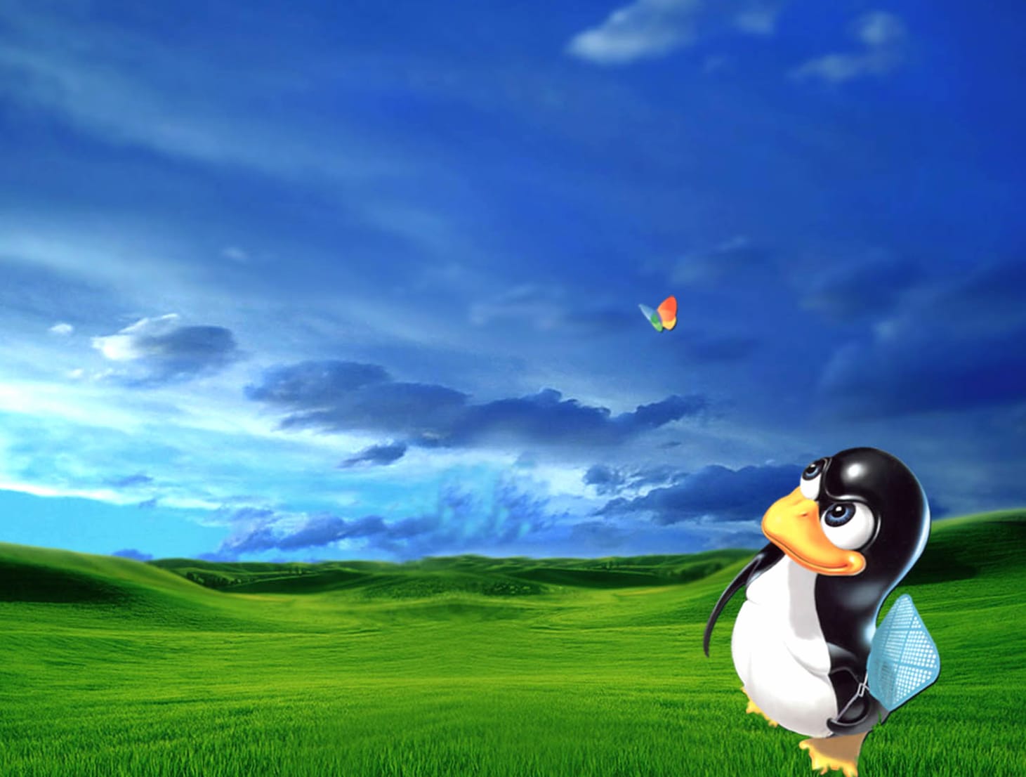 Penguin Tech Serenity - at 1152 x 864 size wallpapers HD quality