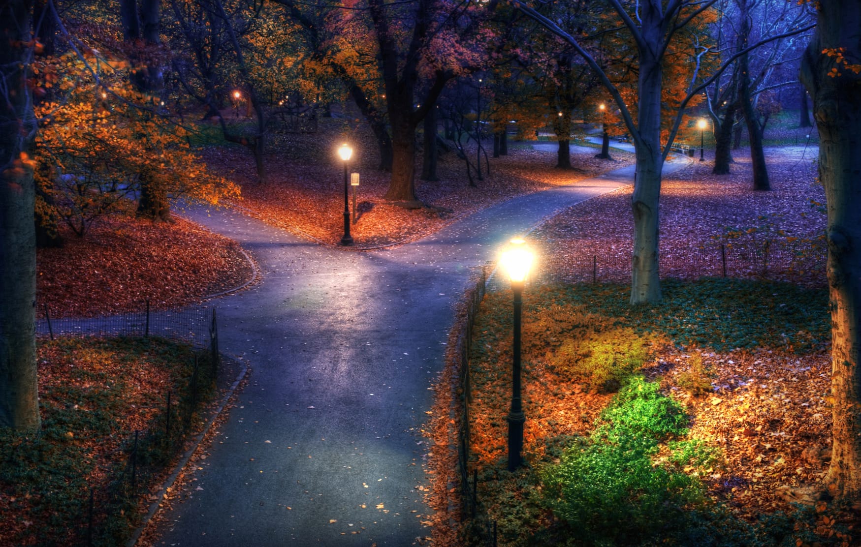 Photography Park Enchantment at 2048 x 2048 iPad size wallpapers HD quality