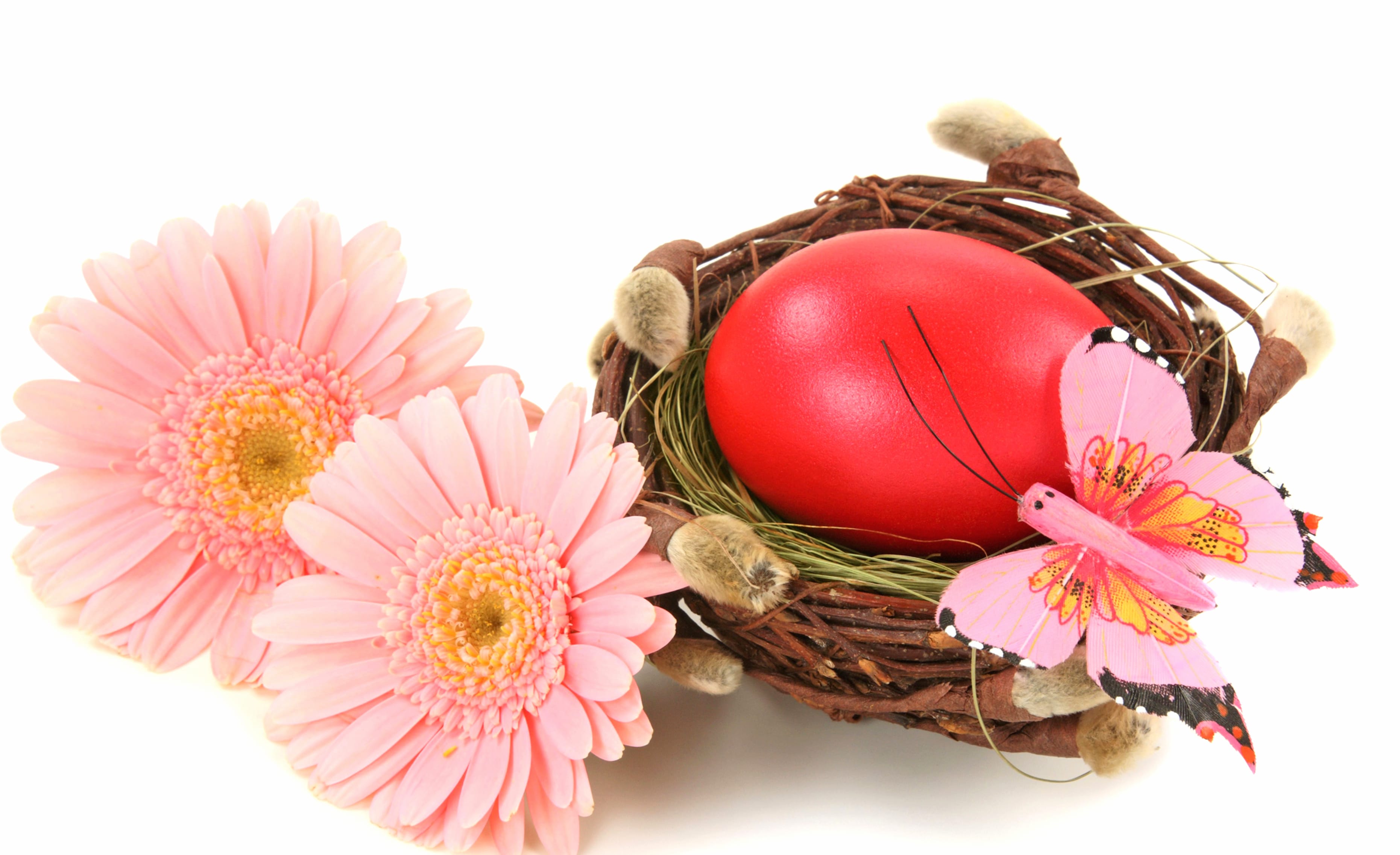 Pink Flower Easter Egg Nest Gerbera Flower Holiday Easter wallpapers HD quality