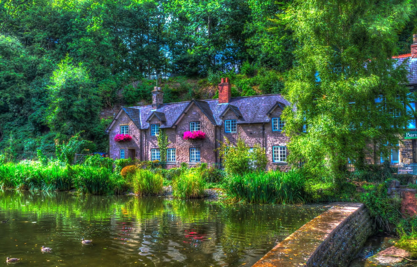 Pond Green Tree Brick England House Man Made Photography HDR wallpapers HD quality