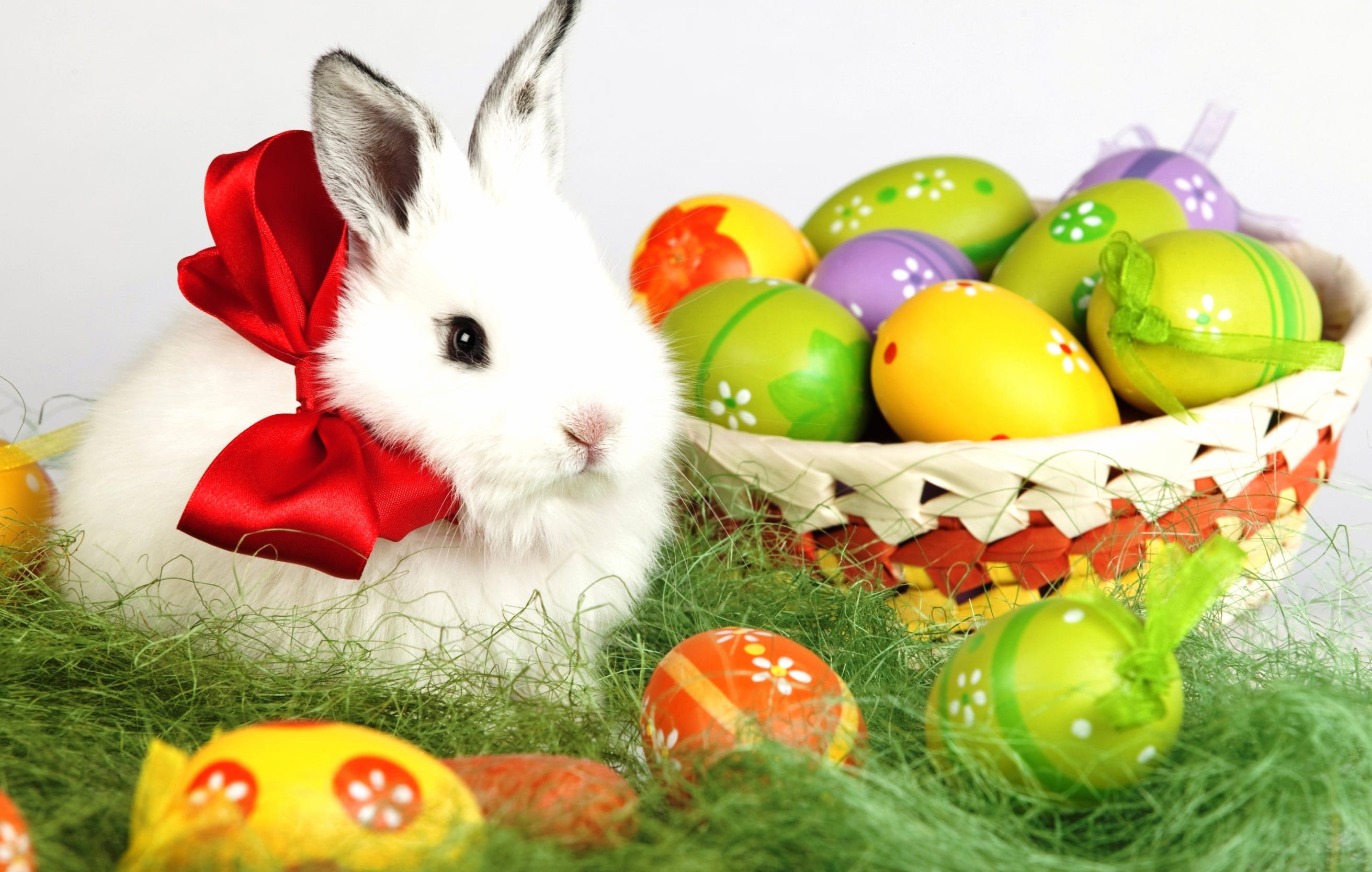 Rabbit Basket Egg Bunny Holiday Easter at 640 x 960 iPhone 4 size wallpapers HD quality