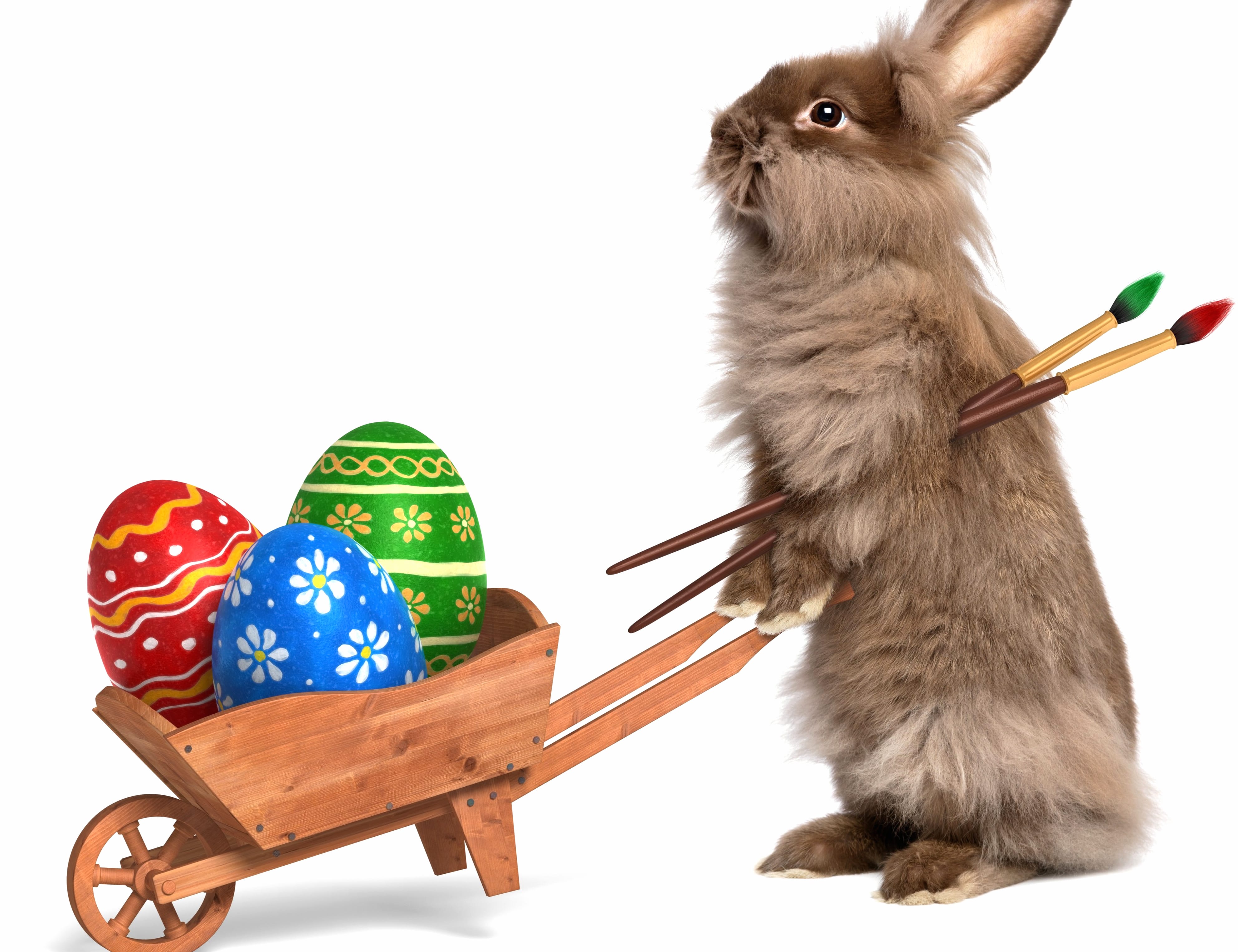 Rabbit Wheelbarrow Egg Bunny Holiday Easter wallpapers HD quality