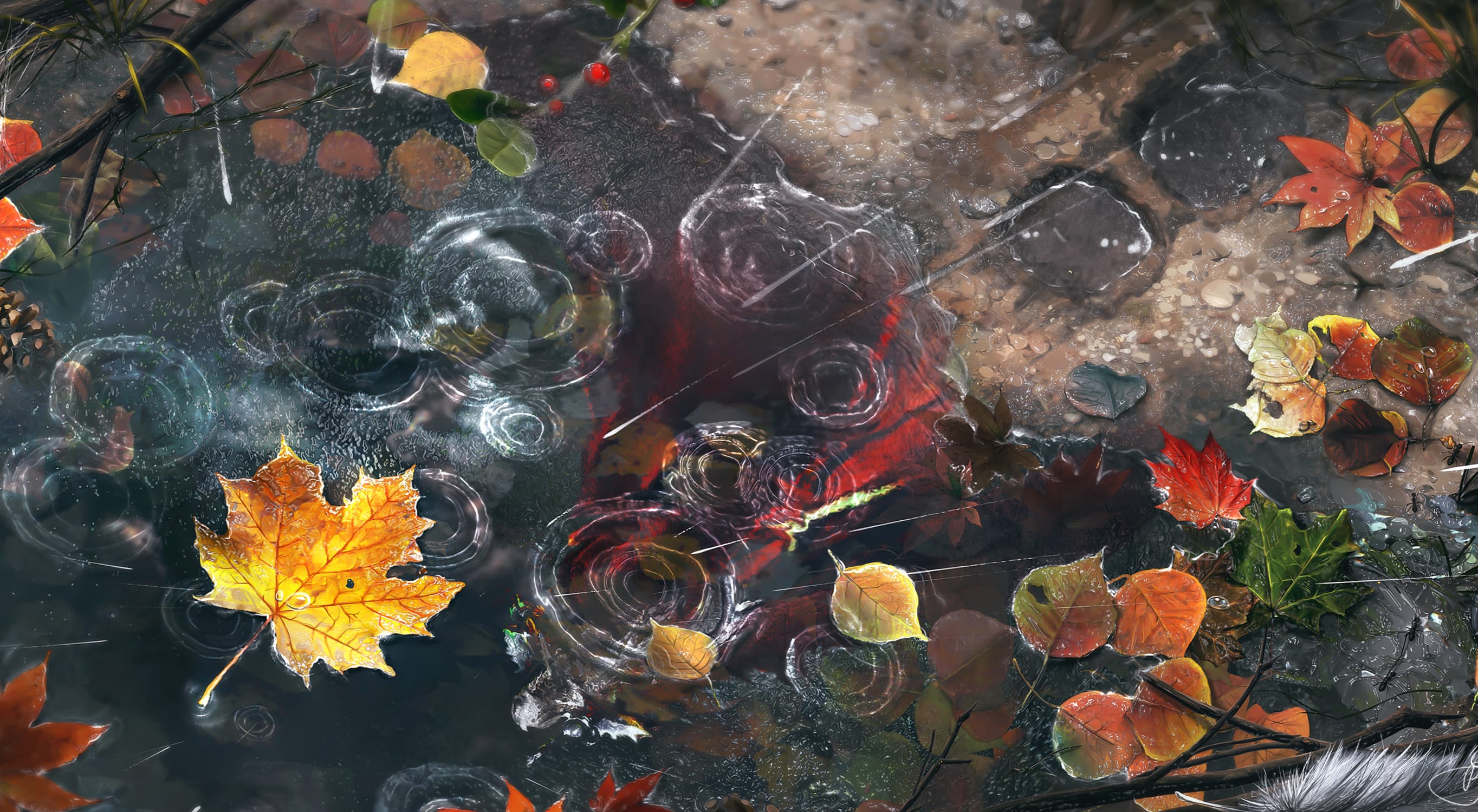 Rainy Autumn Reflections wallpapers HD quality