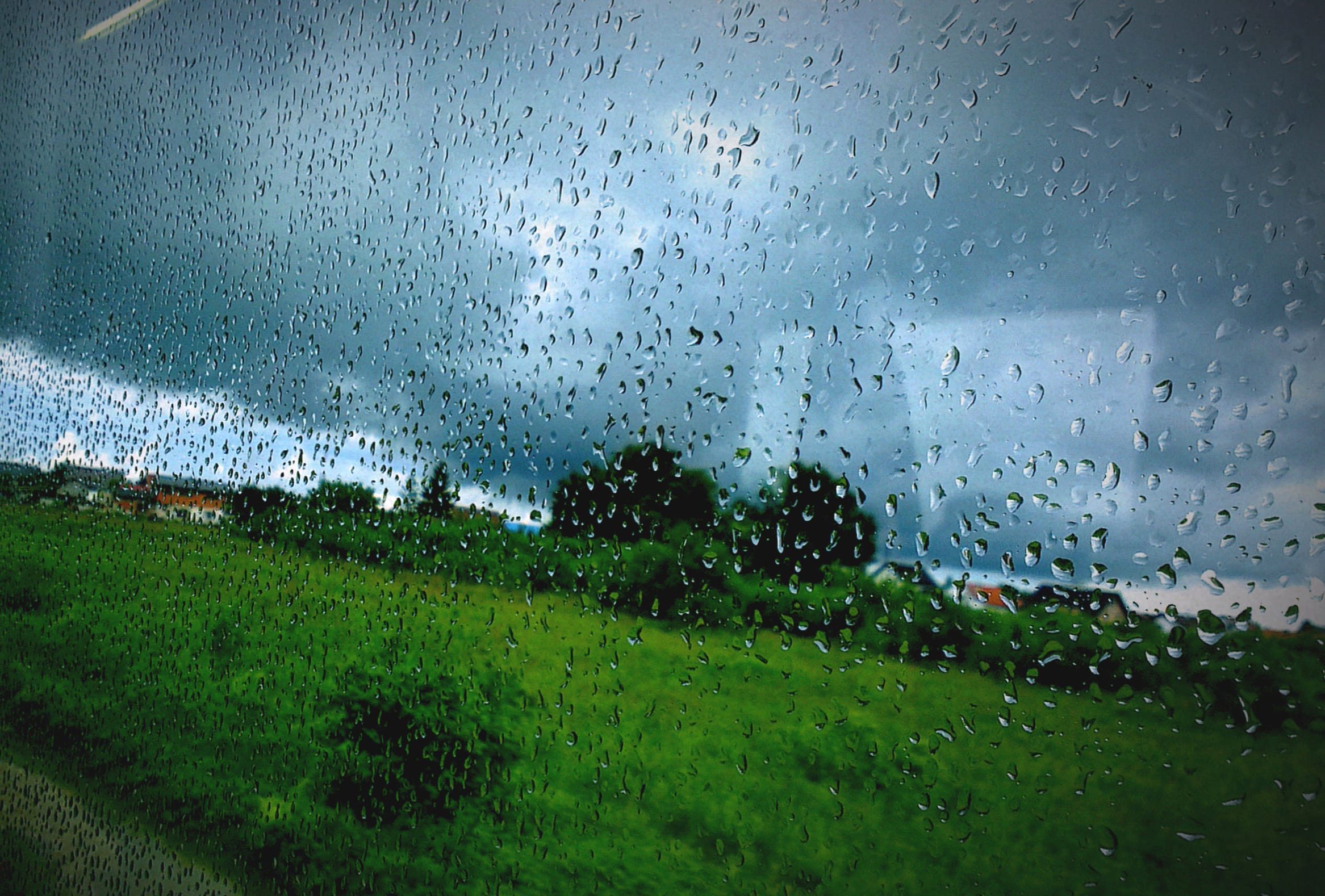 Rainy Day Serenity Capturing Nature’s Silence at 2560 x 1440 HD size wallpapers HD quality