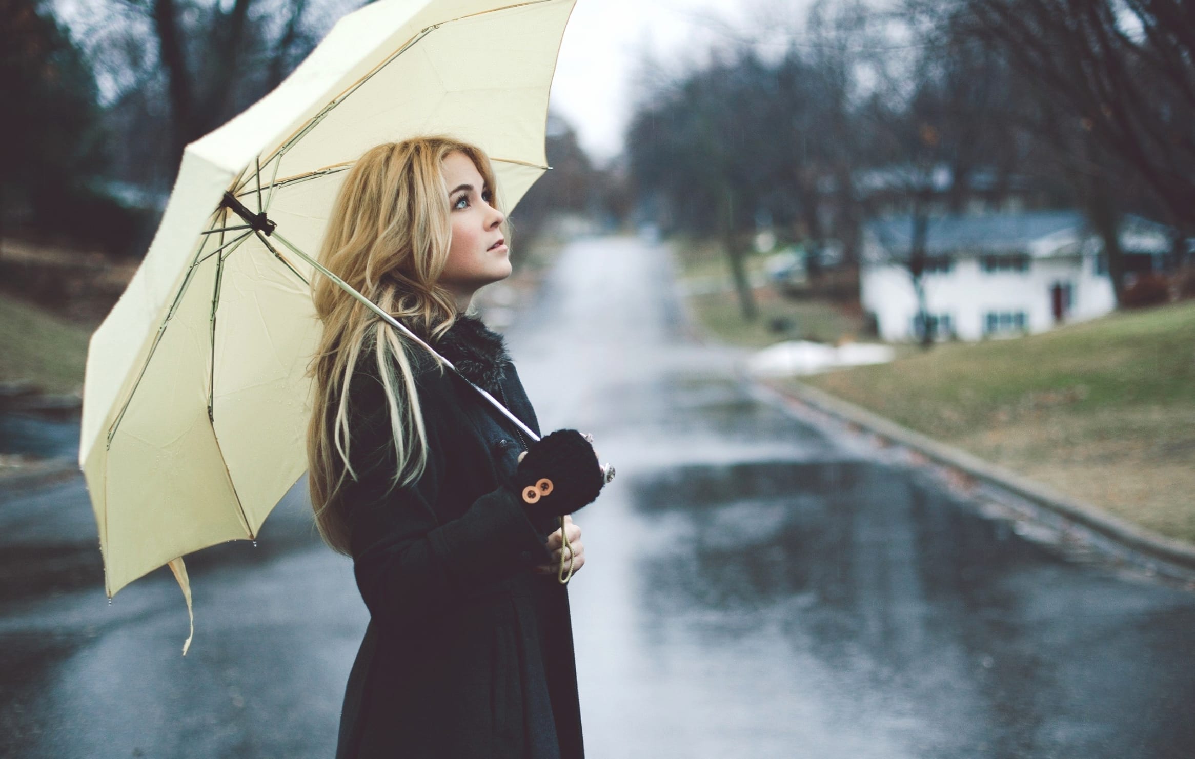 Rainy Day Stroll - at 1536 x 864 HD size wallpapers HD quality