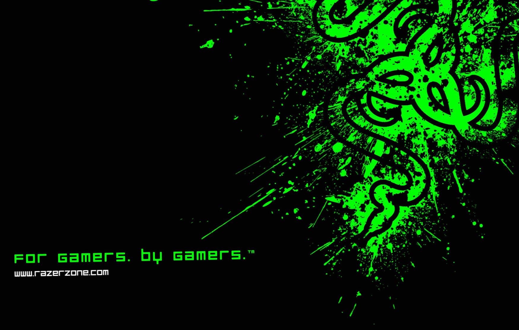 Razer For Gamers, By Gamers wallpapers HD quality