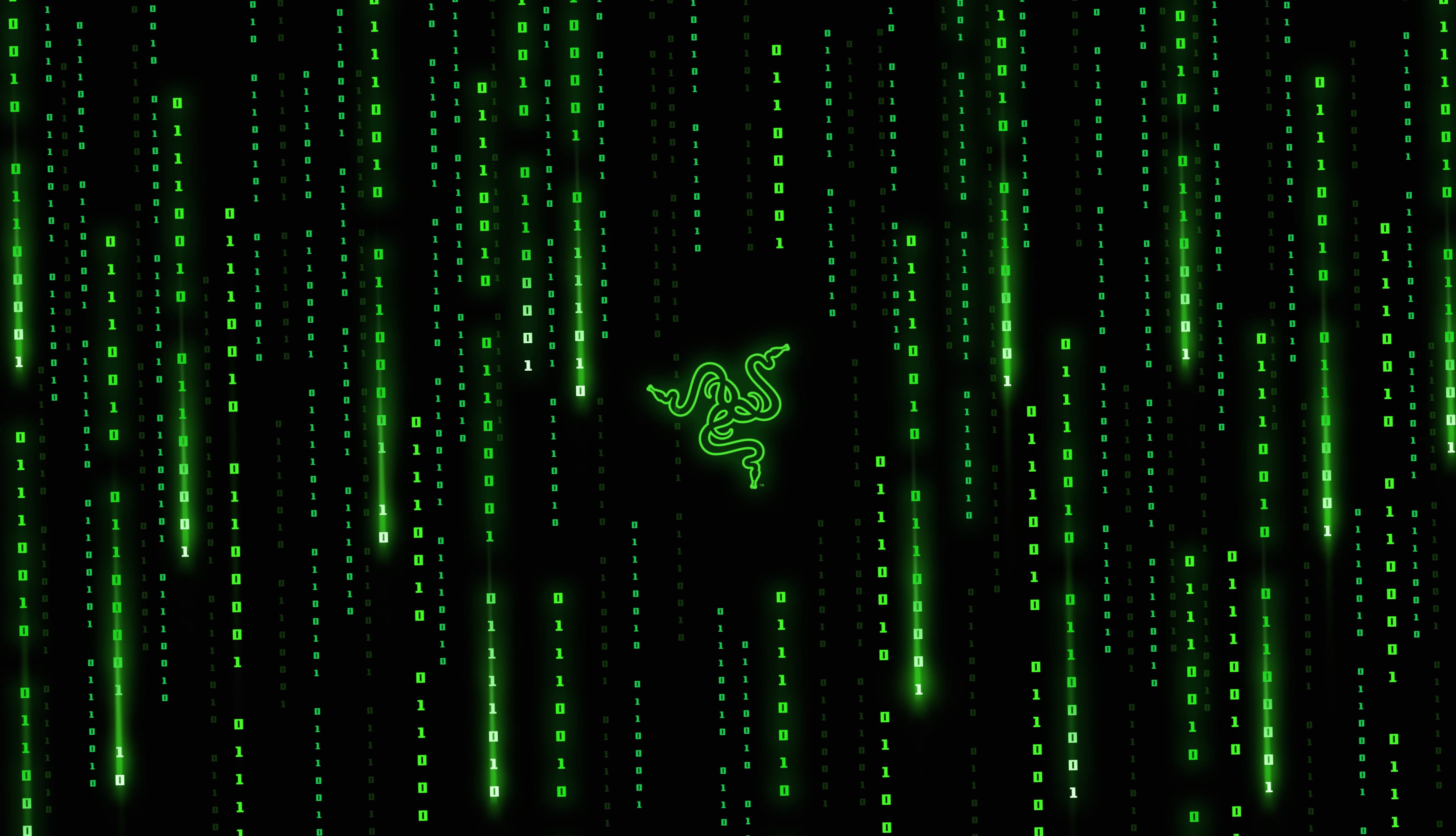 Razer Matrix falling code wallpapers HD quality