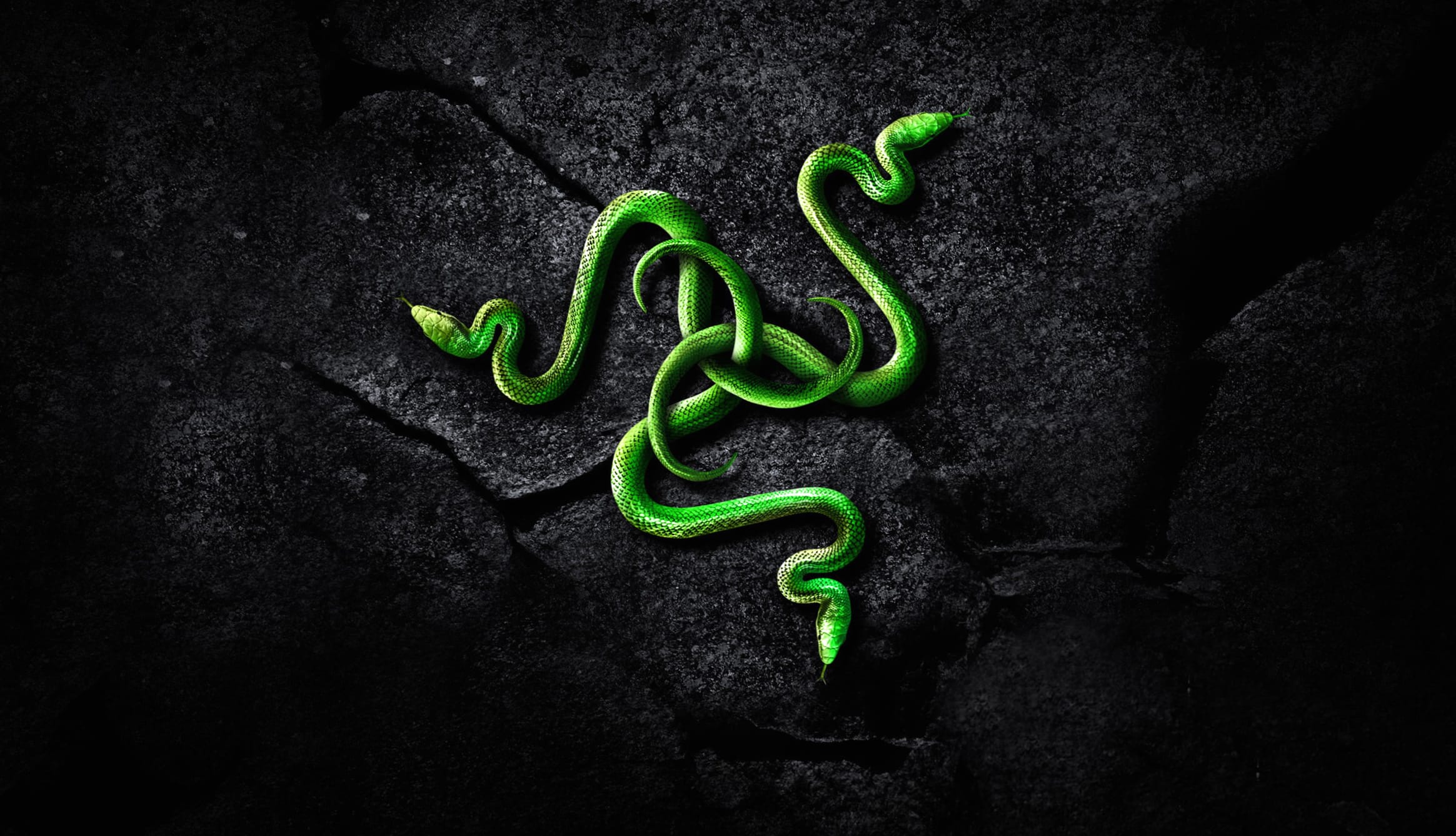 Razer Technology A Striking Green Serpent Design at 1366 x 768 HD size wallpapers HD quality