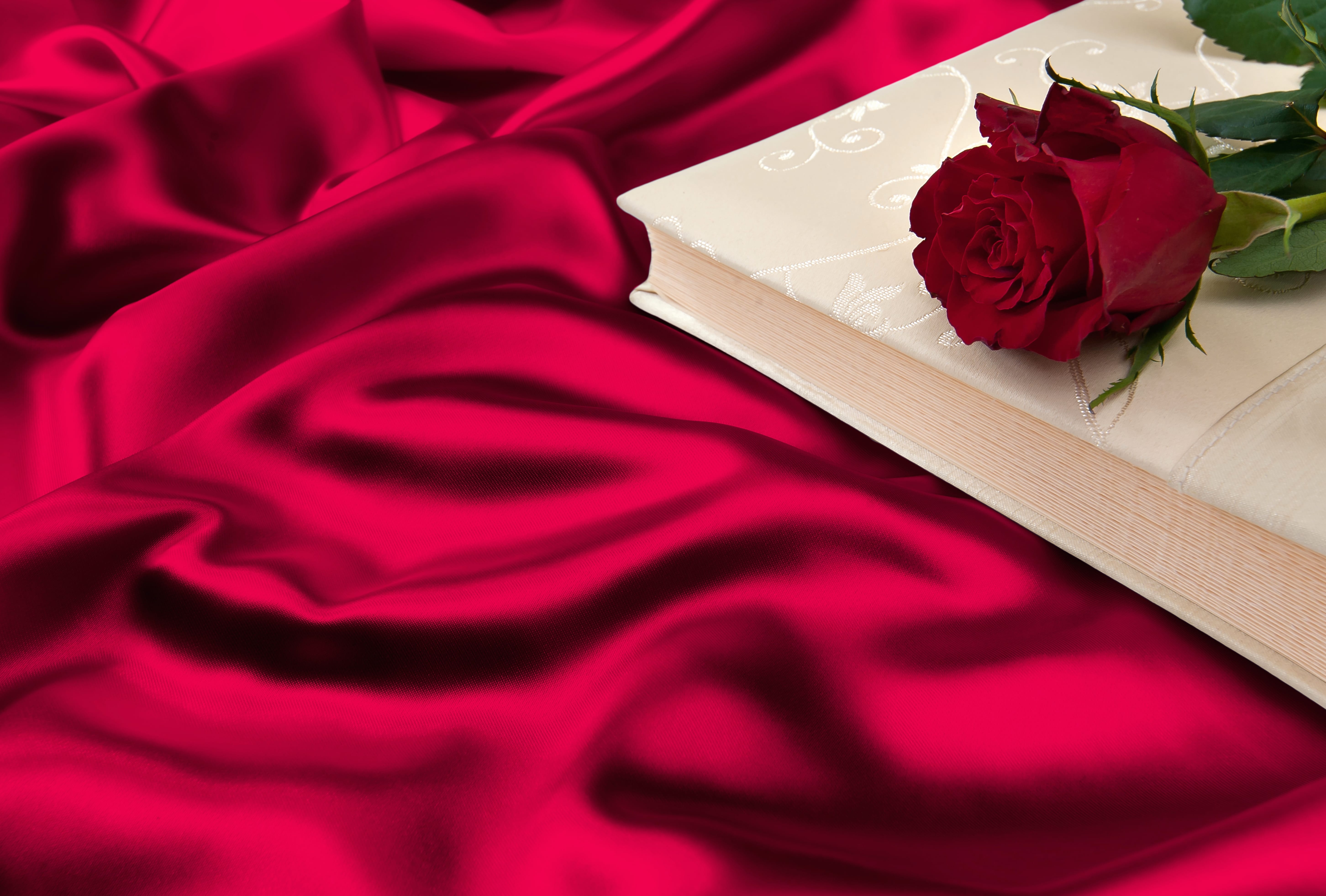 Red Flower Book Silk Rose Photography Still Life wallpapers HD quality