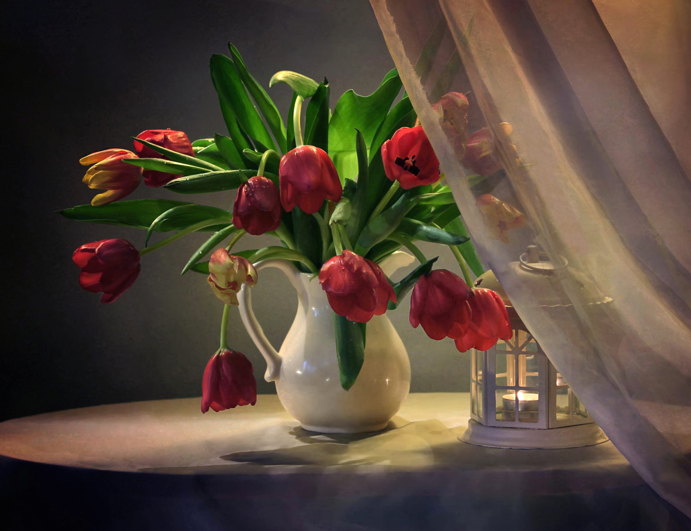 Red Flower Curtain Candle Lantern Vase Tulip Photography Still Life at 2560 x 1440 HD size wallpapers HD quality