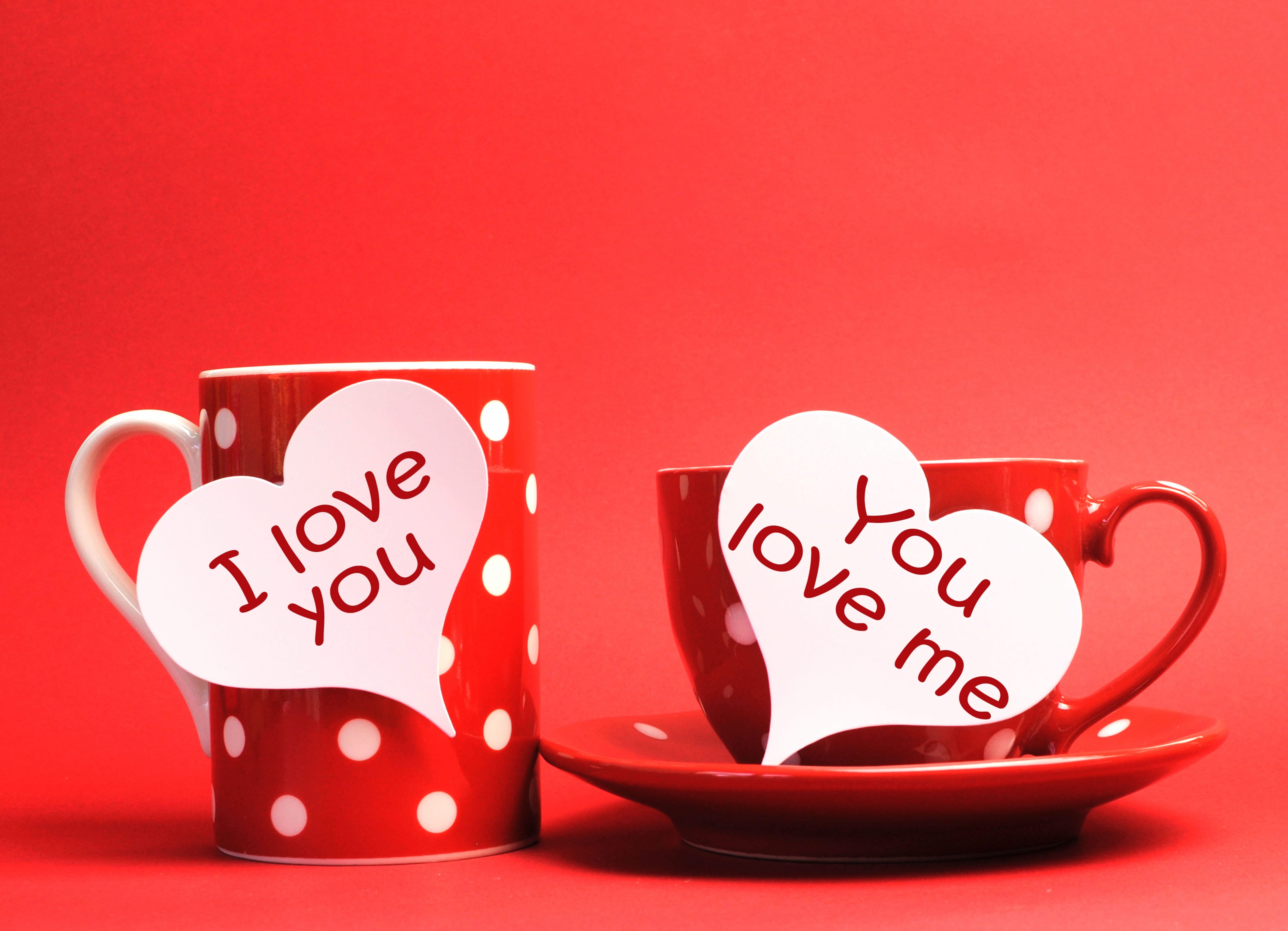 Red Love Cups Romantic Desktop Background wallpapers HD quality