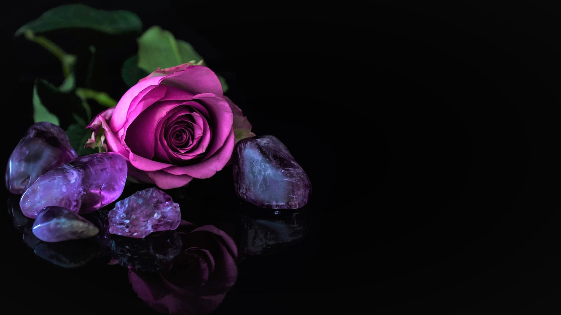 Reflection Stone Purple Rose Rose Photography Still Life at 1600 x 1200 size wallpapers HD quality