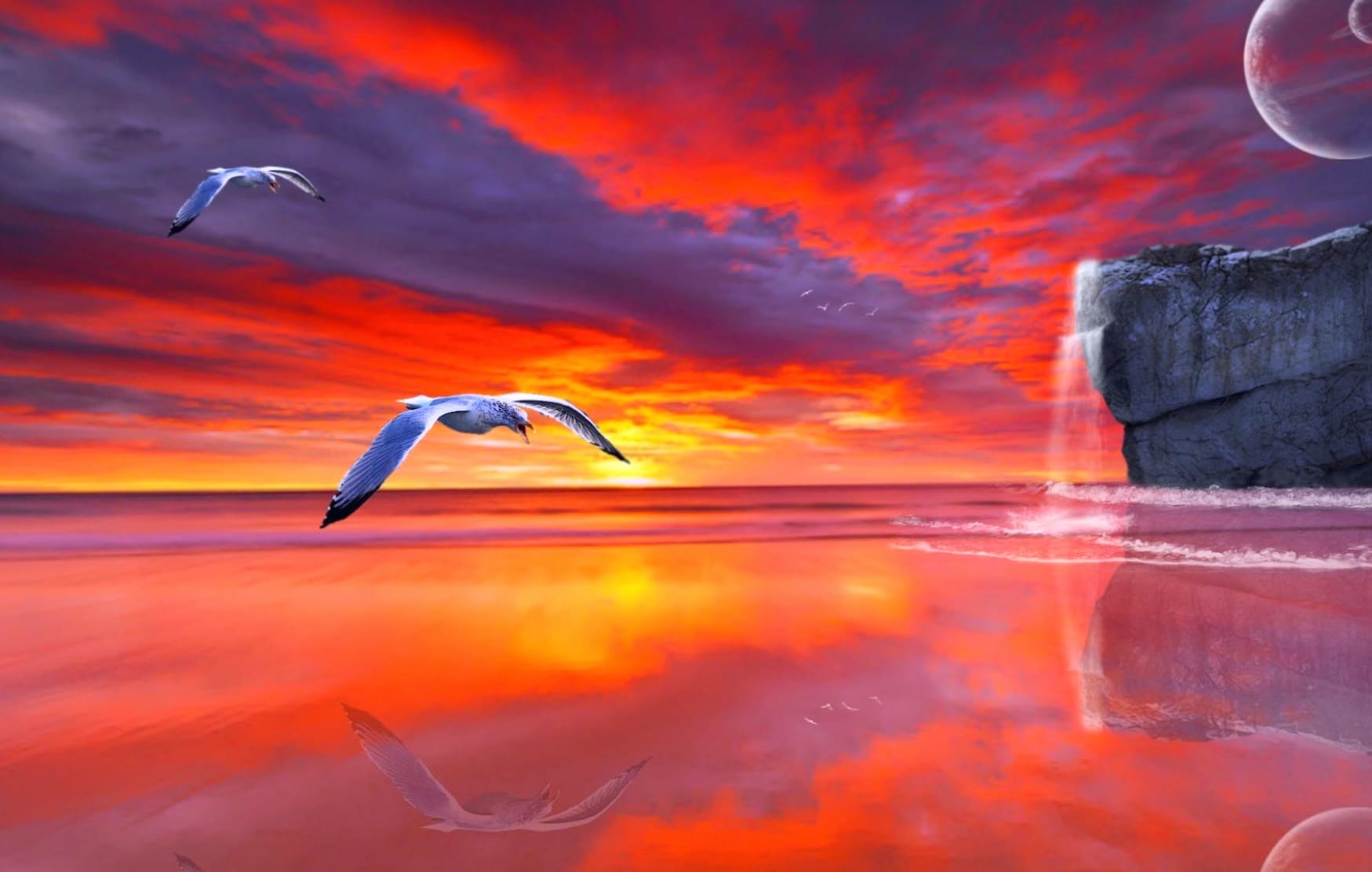 Reflection Sunset Flight Seagull Photography Manipulation wallpapers HD quality