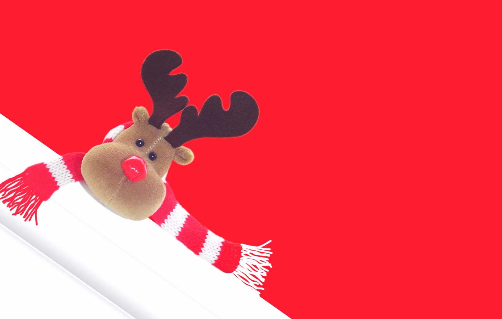 Reindeer Holiday Christmas wallpapers HD quality