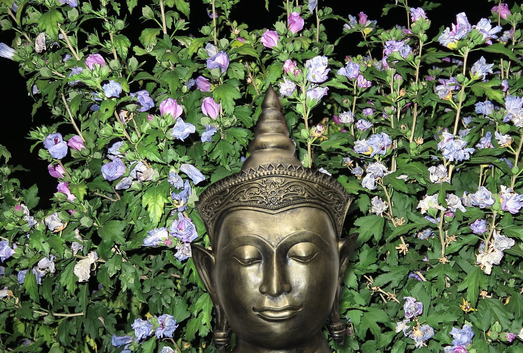 Religious Buddha at 640 x 960 iPhone 4 size wallpapers HD quality