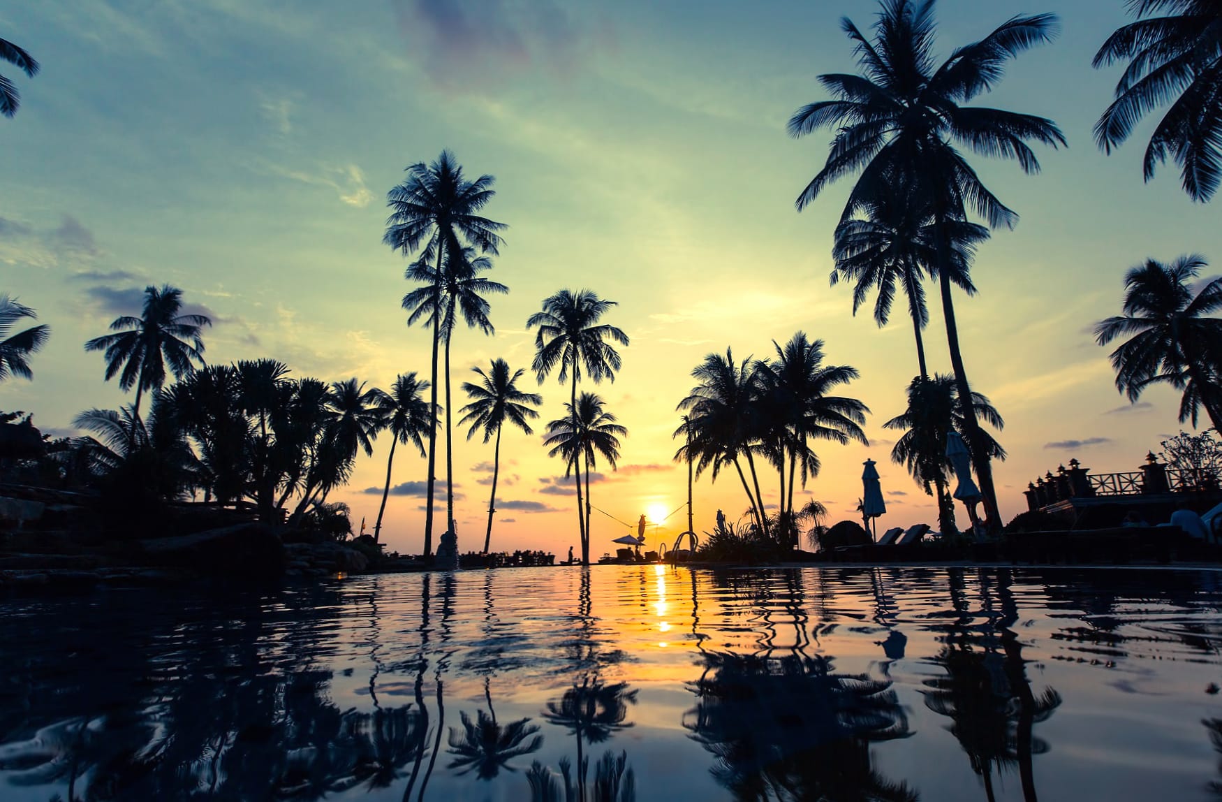 Resort Reflection Water Palm Tree Photography Sunset wallpapers HD quality