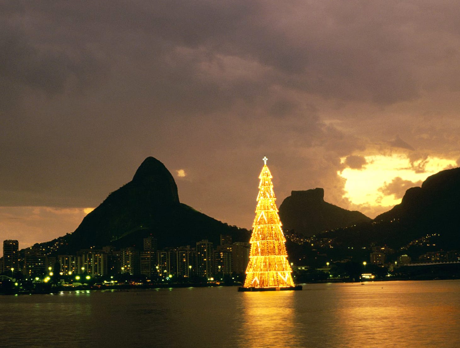 Rio de Janeiro Christmas Tree wallpapers HD quality