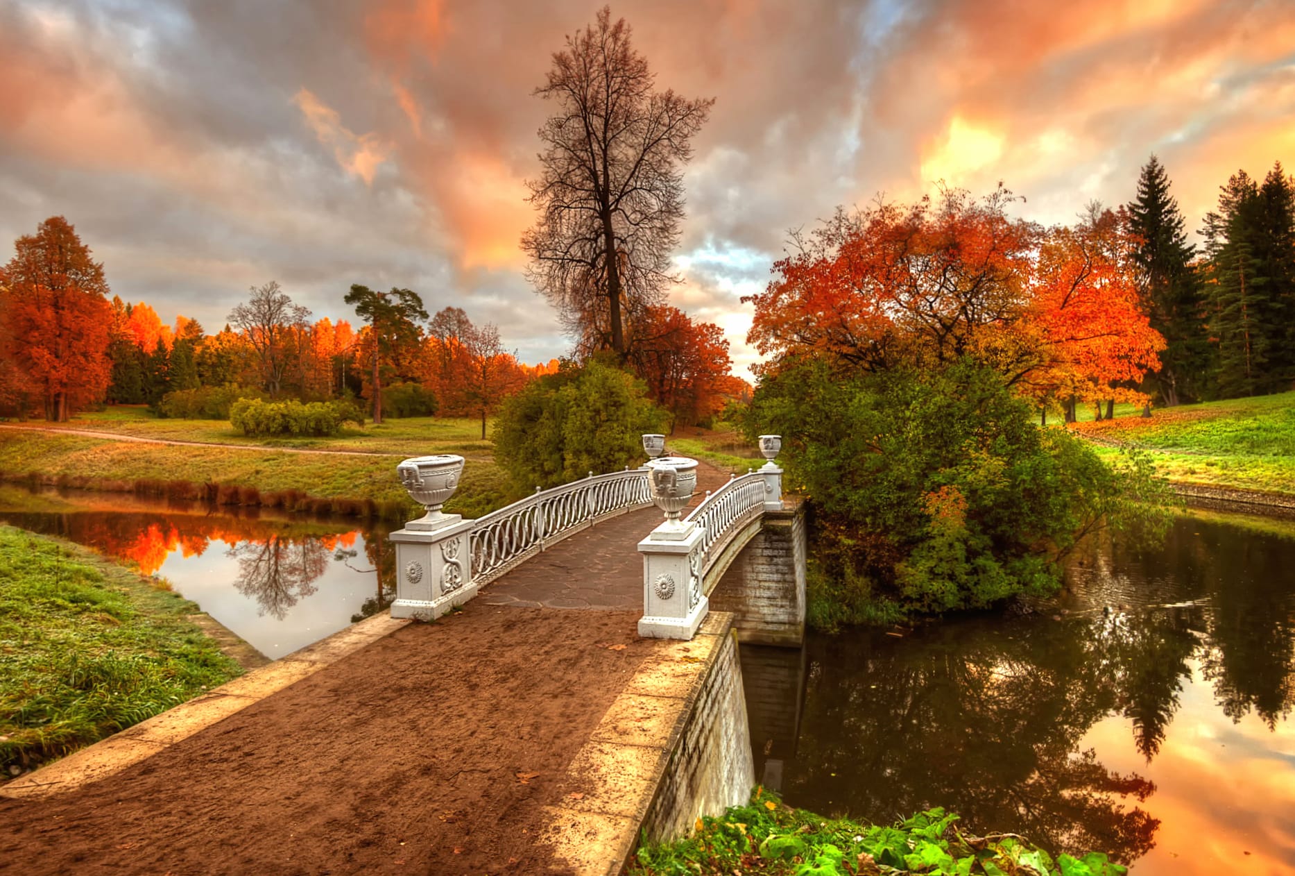 River Bridge Tree Fall Photography Park wallpapers HD quality