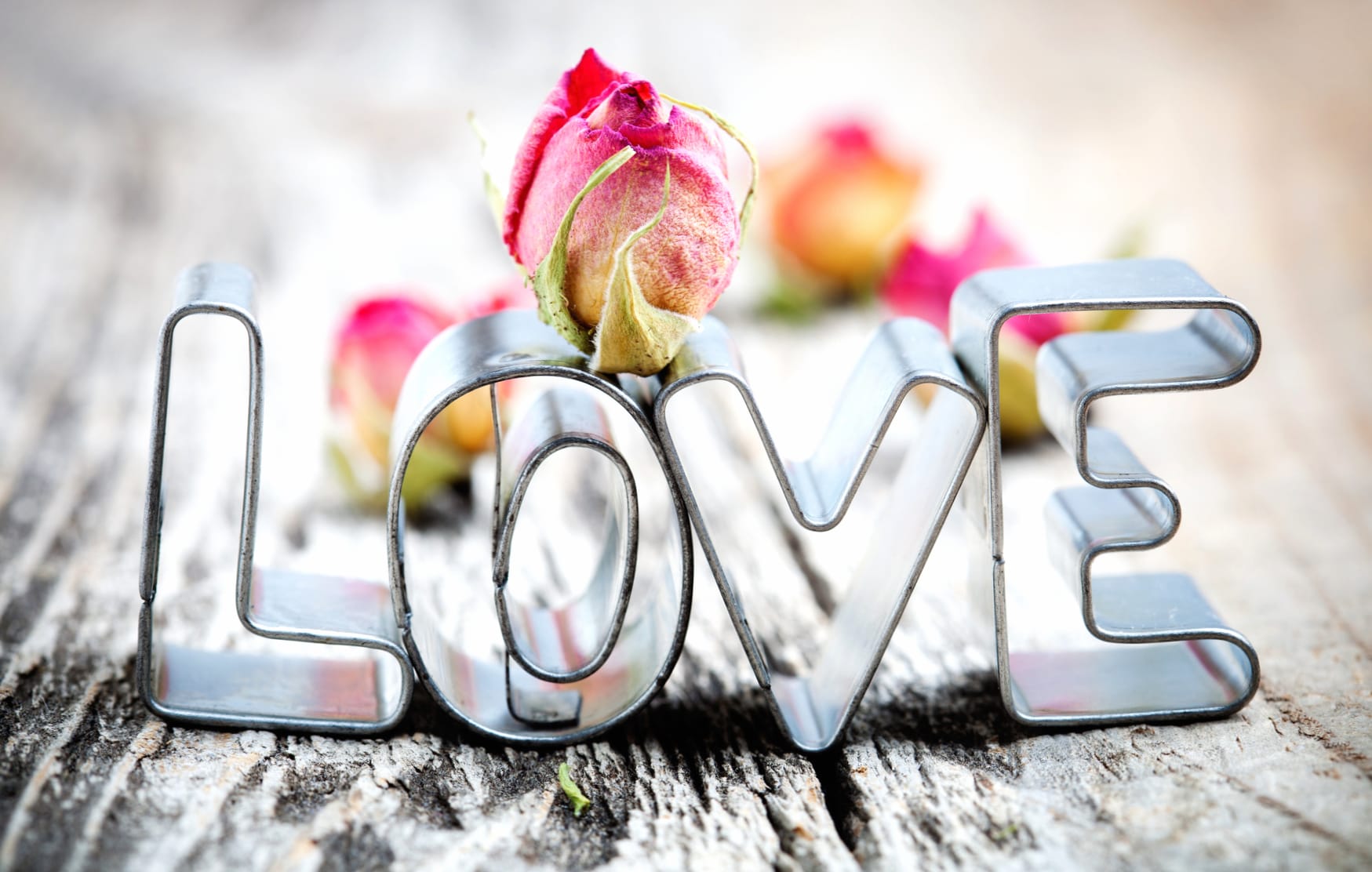 Romantic Love Photography wallpapers HD quality