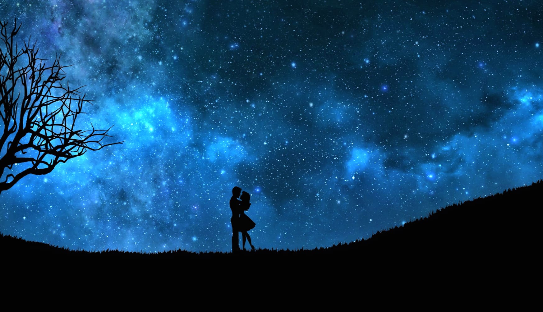 Romantic Starry Night at 2560 x 1440 HD size wallpapers HD quality