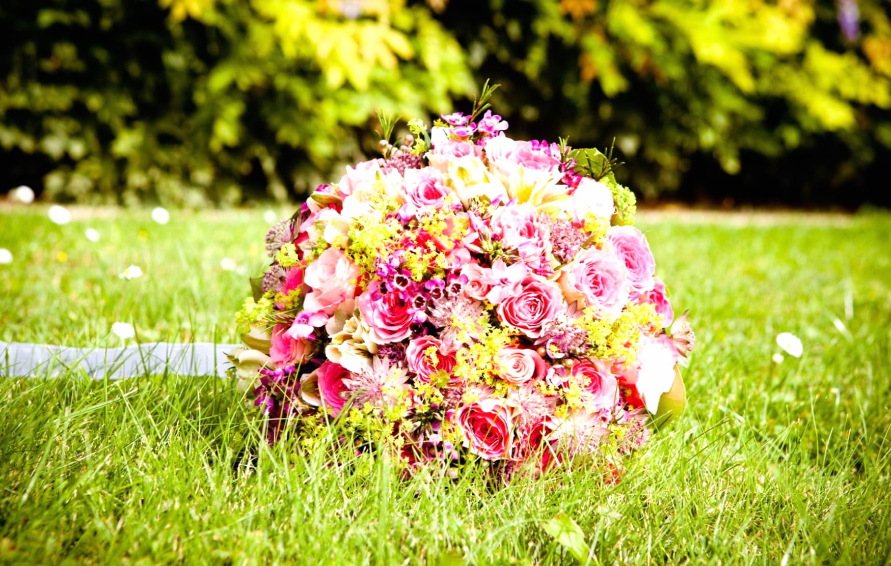 Rose Flower Bouquet Holiday Wedding wallpapers HD quality